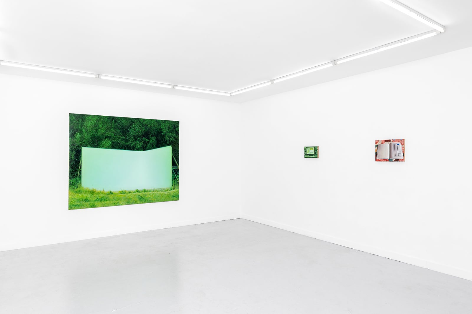 article image; primary-color: #E2E7E1;