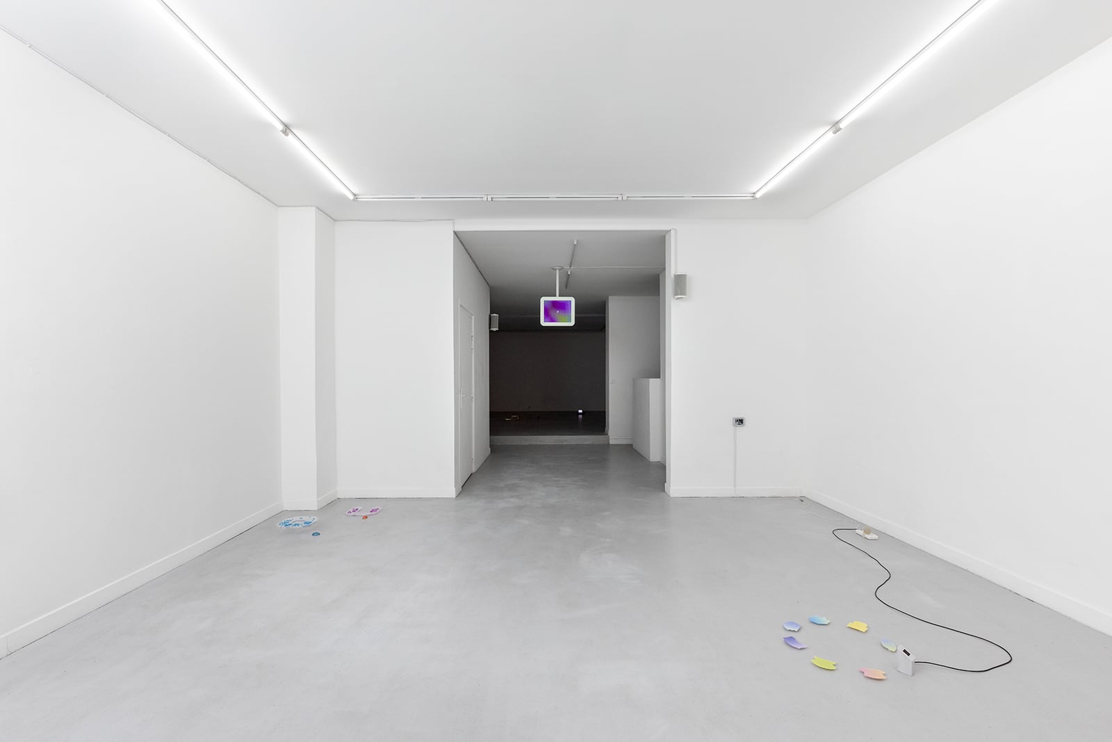 article image; primary-color: #CCCCCC;