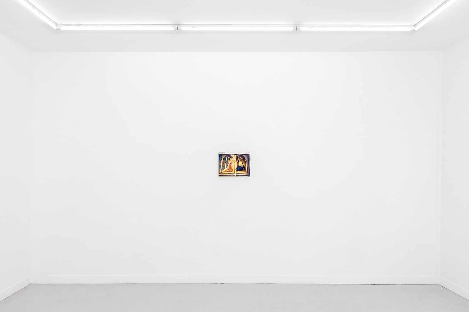 article image; primary-color: #E8E8E8;