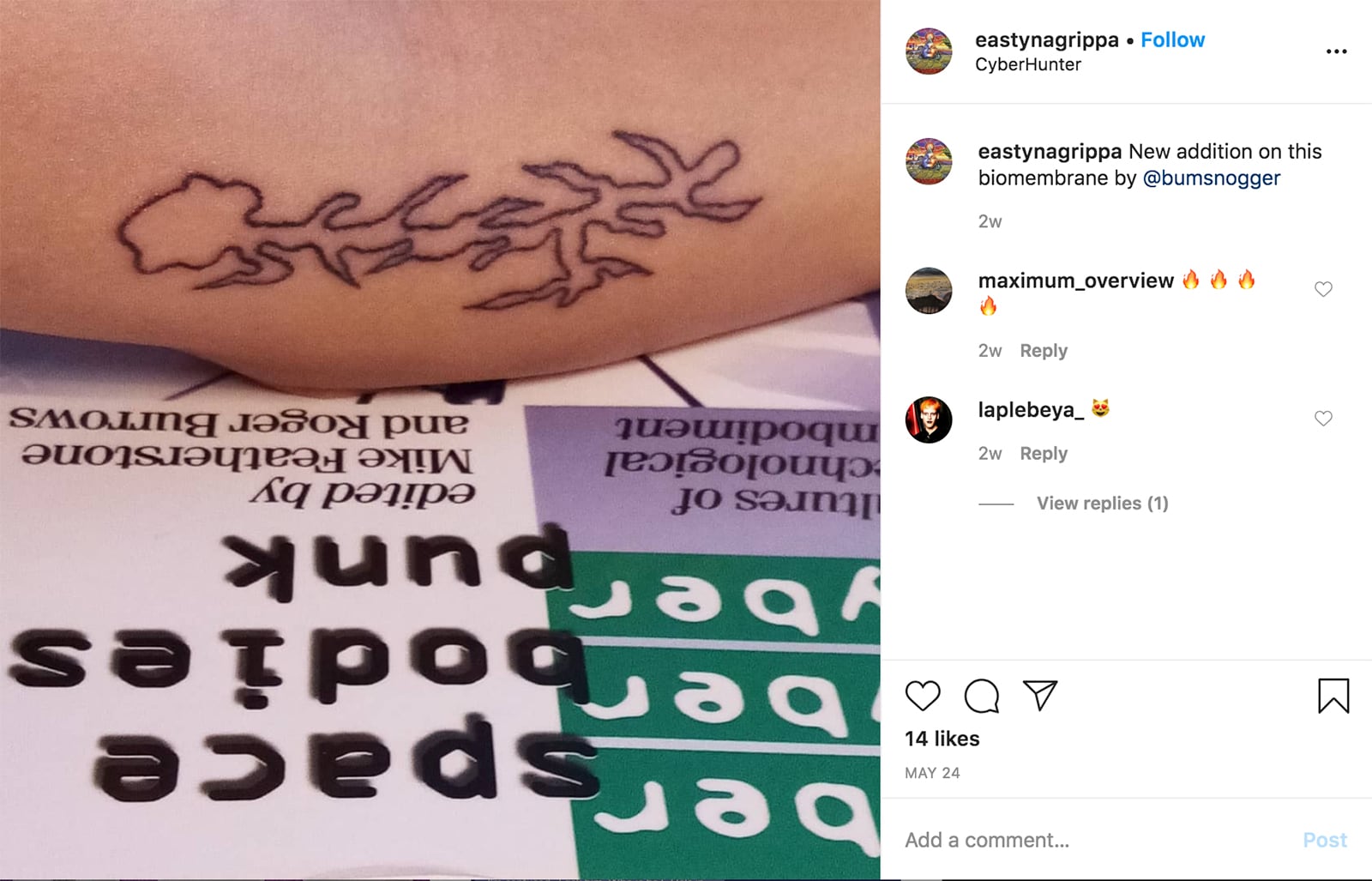 article image; primary-color: #C1AFAD;