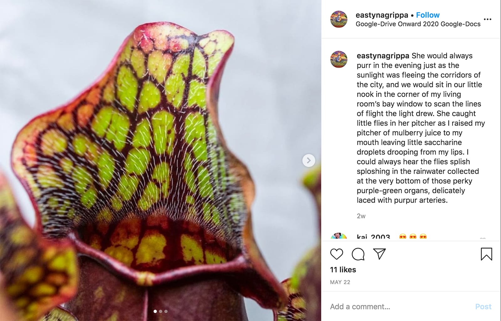 article image; primary-color: #BBAFA1;