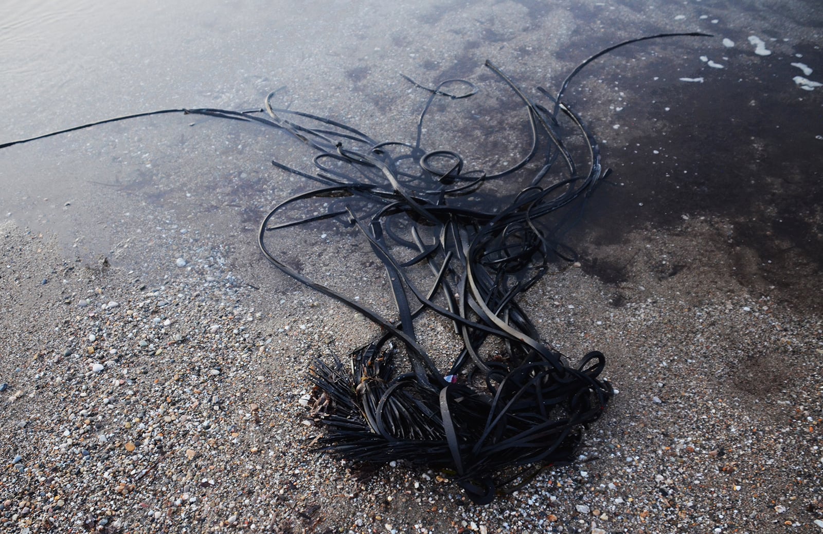 article image; primary-color: #696870;