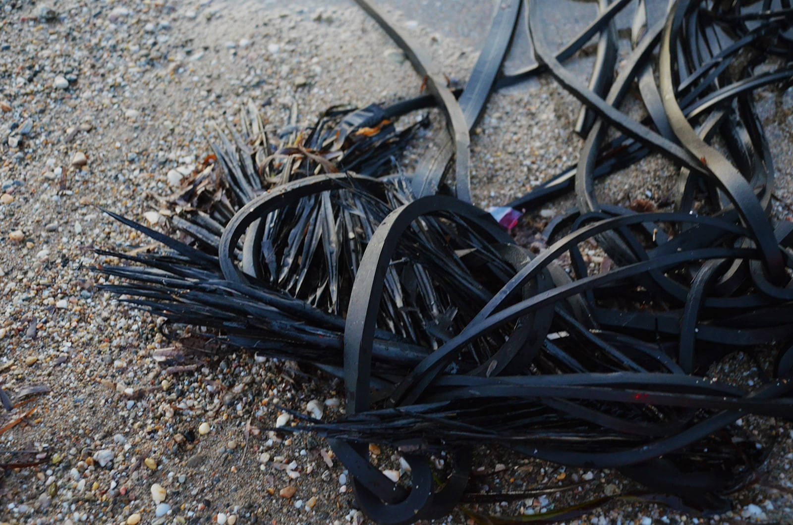 article image; primary-color: #4C5053;