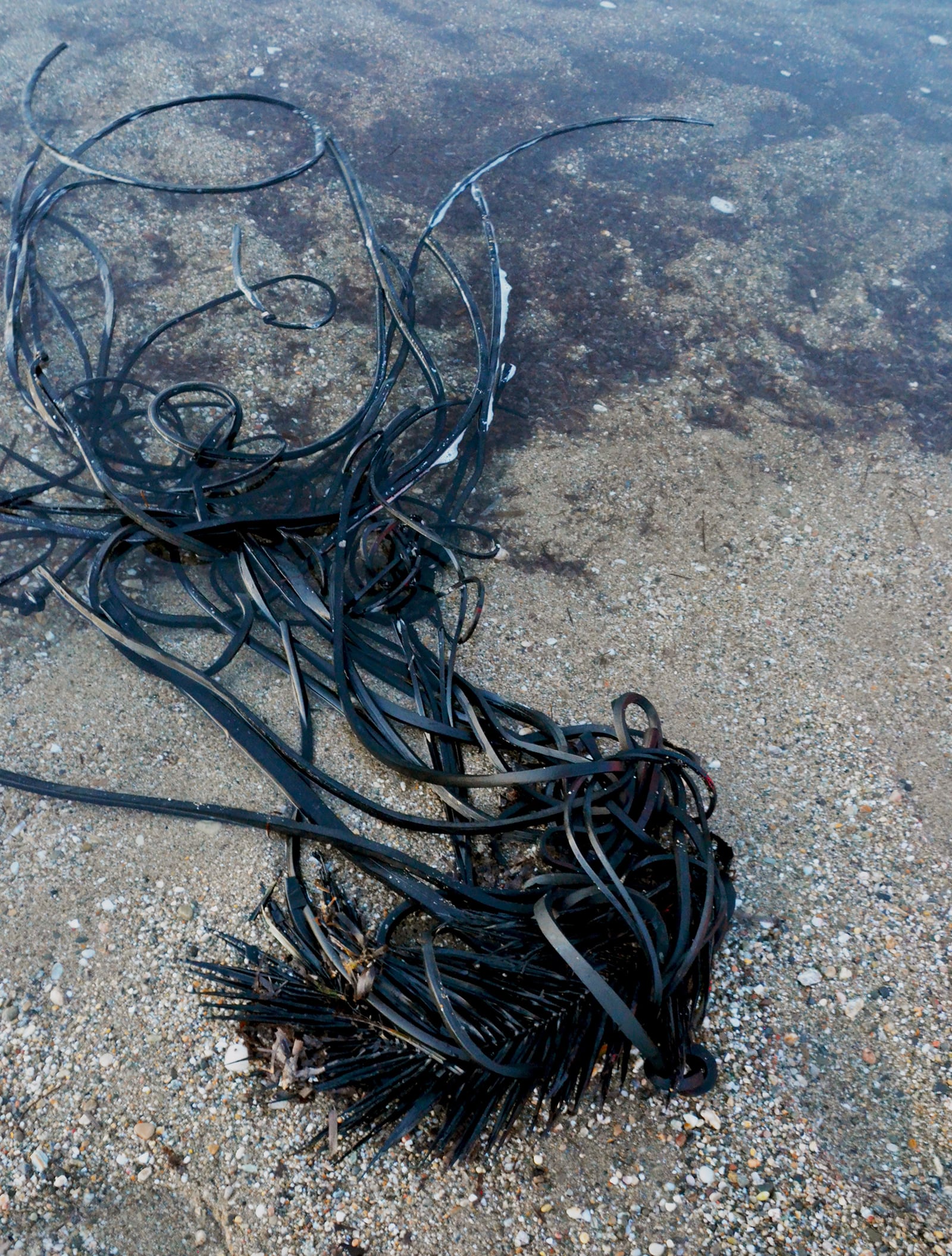 article image; primary-color: #656E75;