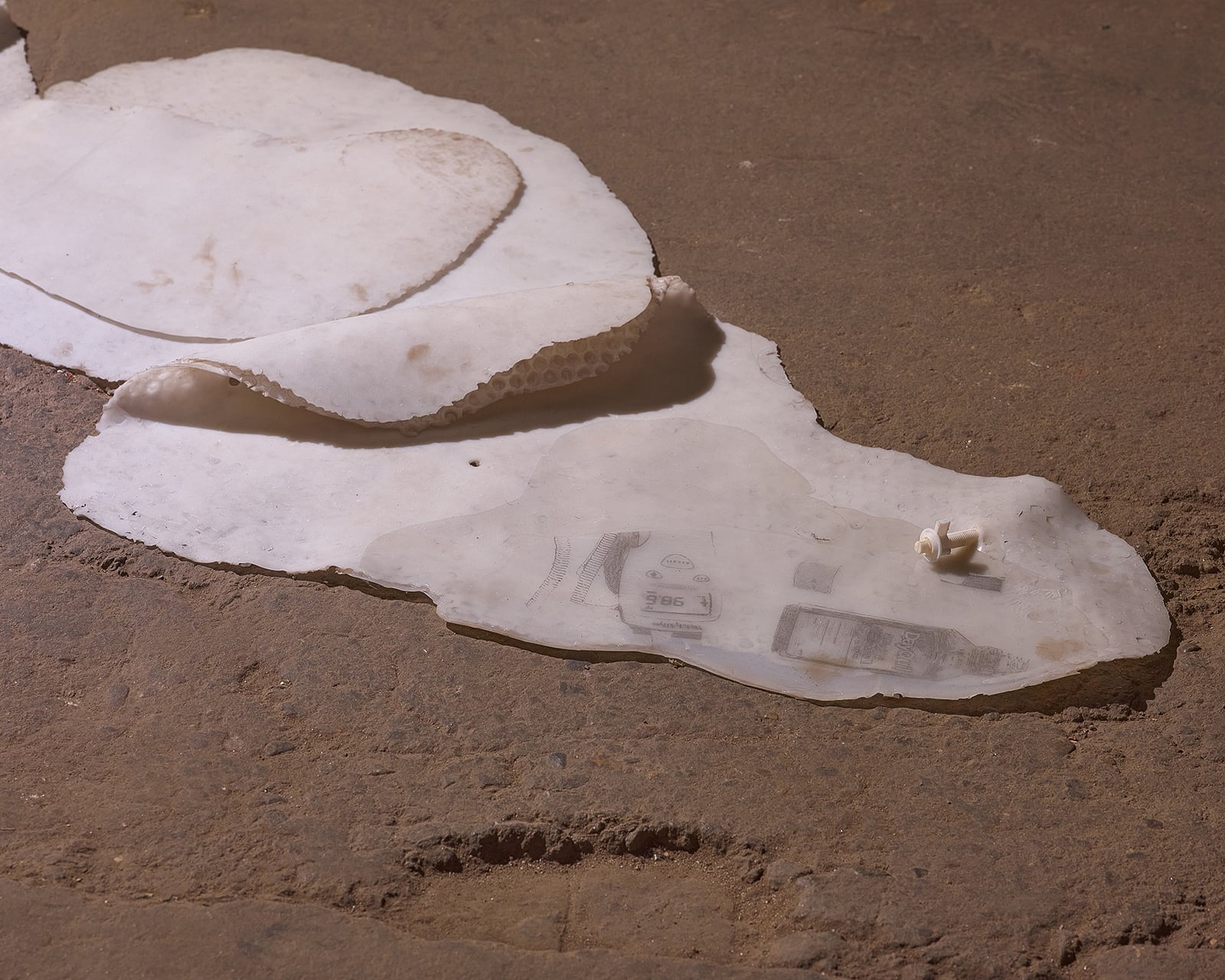 article image; primary-color: #866F69;