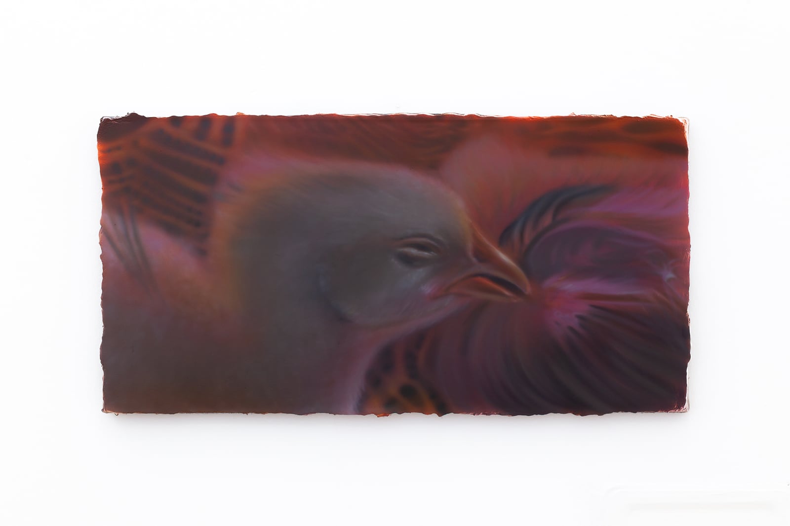 article image; primary-color: #B5ABAA;