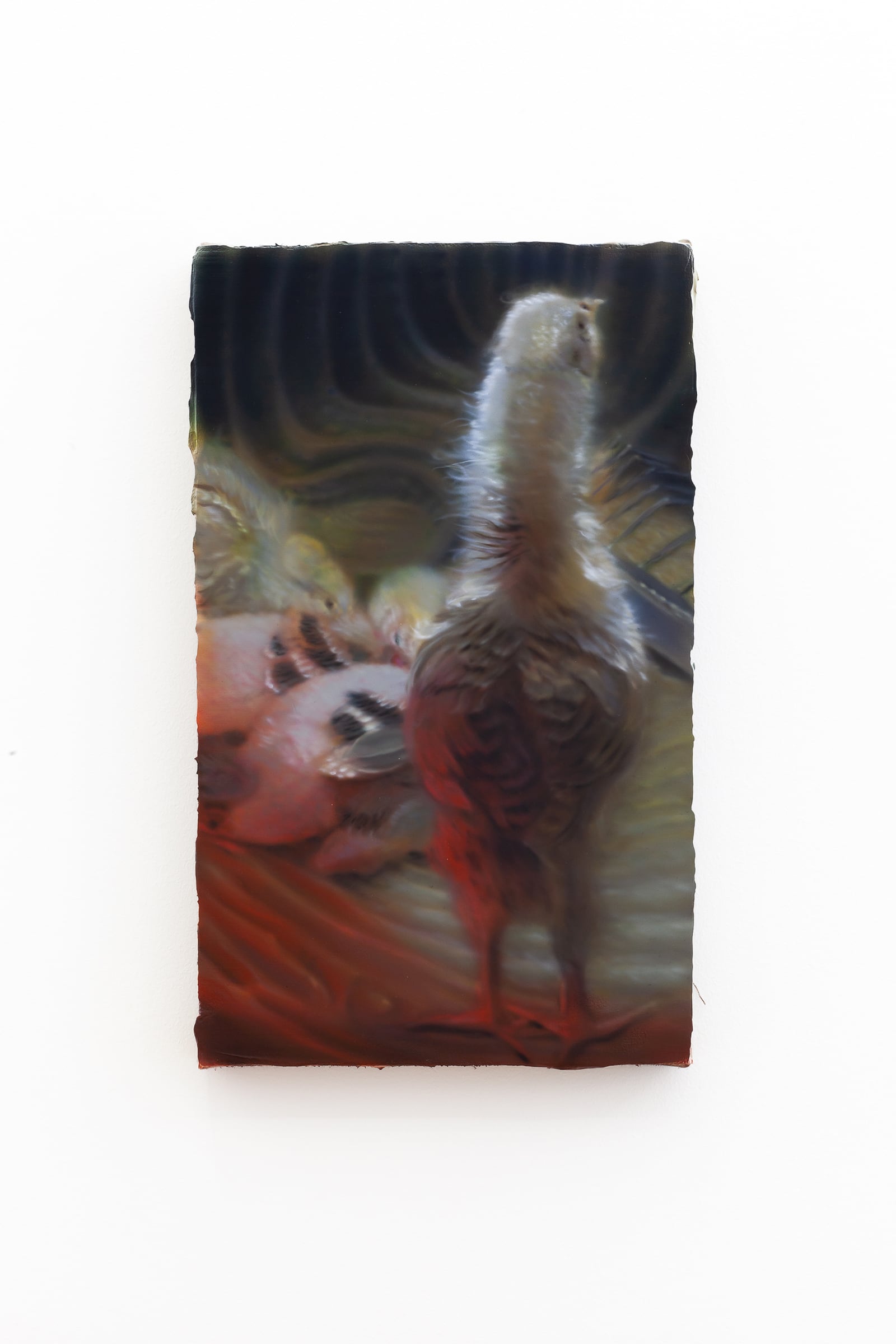 article image; primary-color: #C4BCBA;