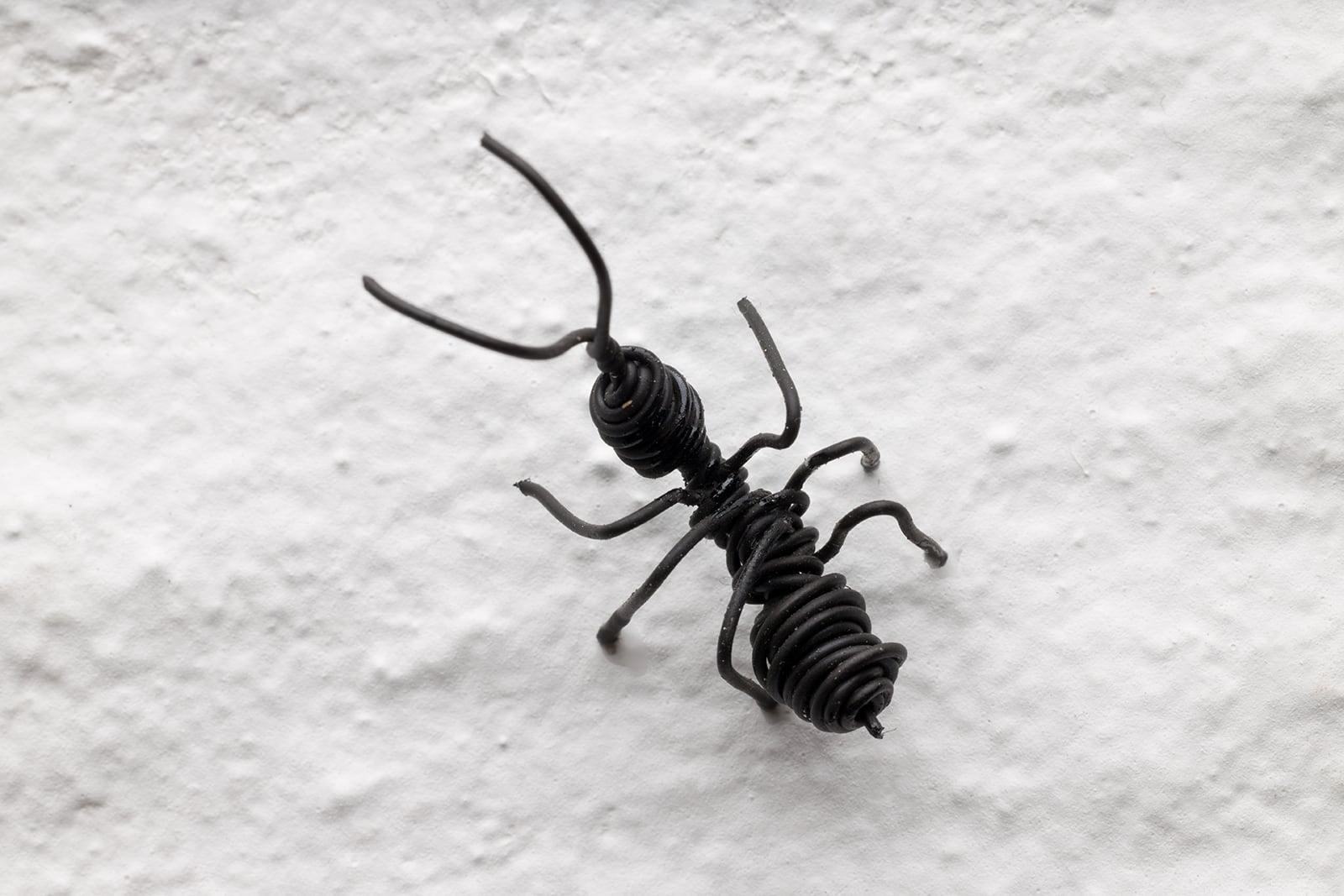 article image; primary-color: #D6D2D3;