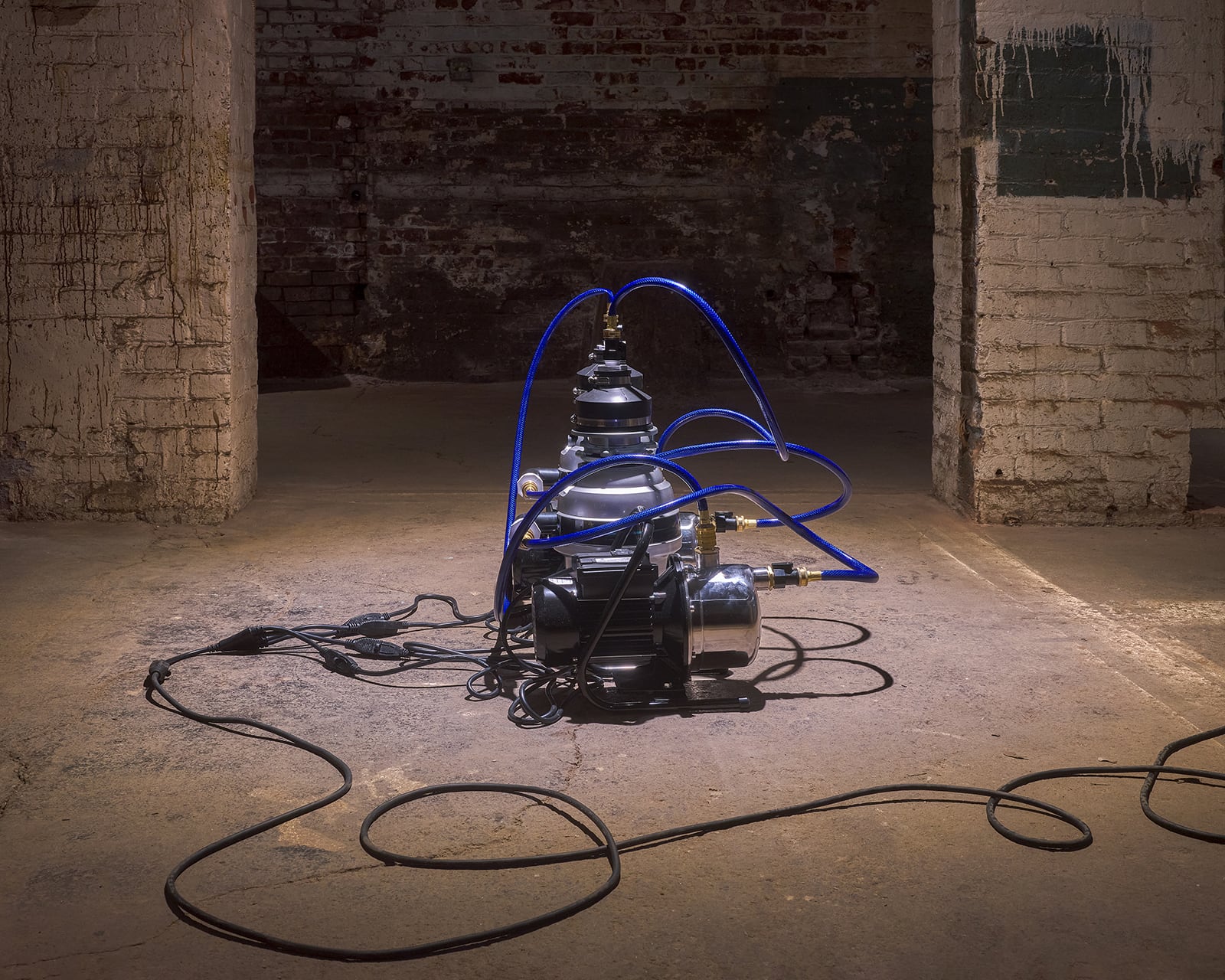 article image; primary-color: #5A4740;