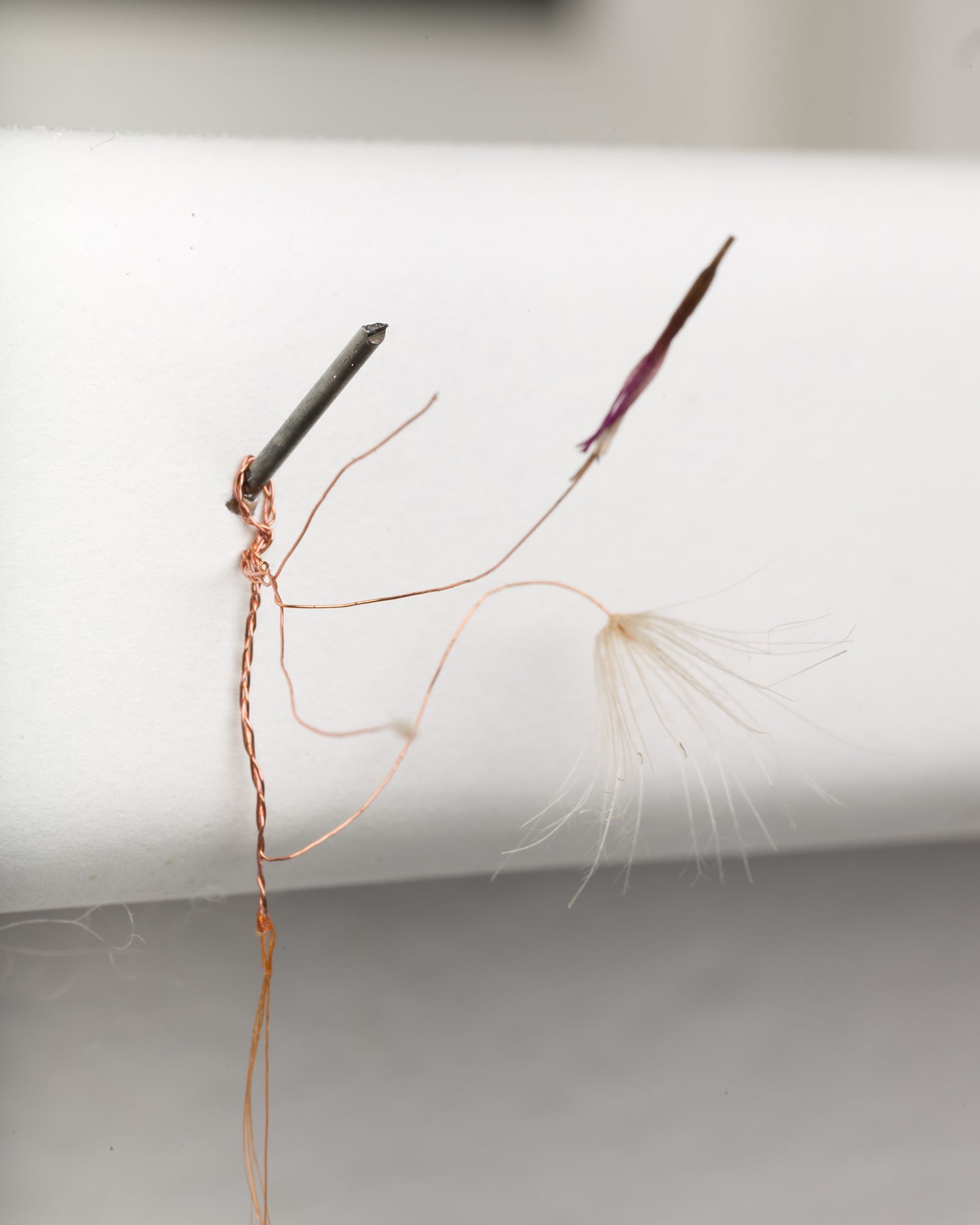 article image; primary-color: #C7C3C0;