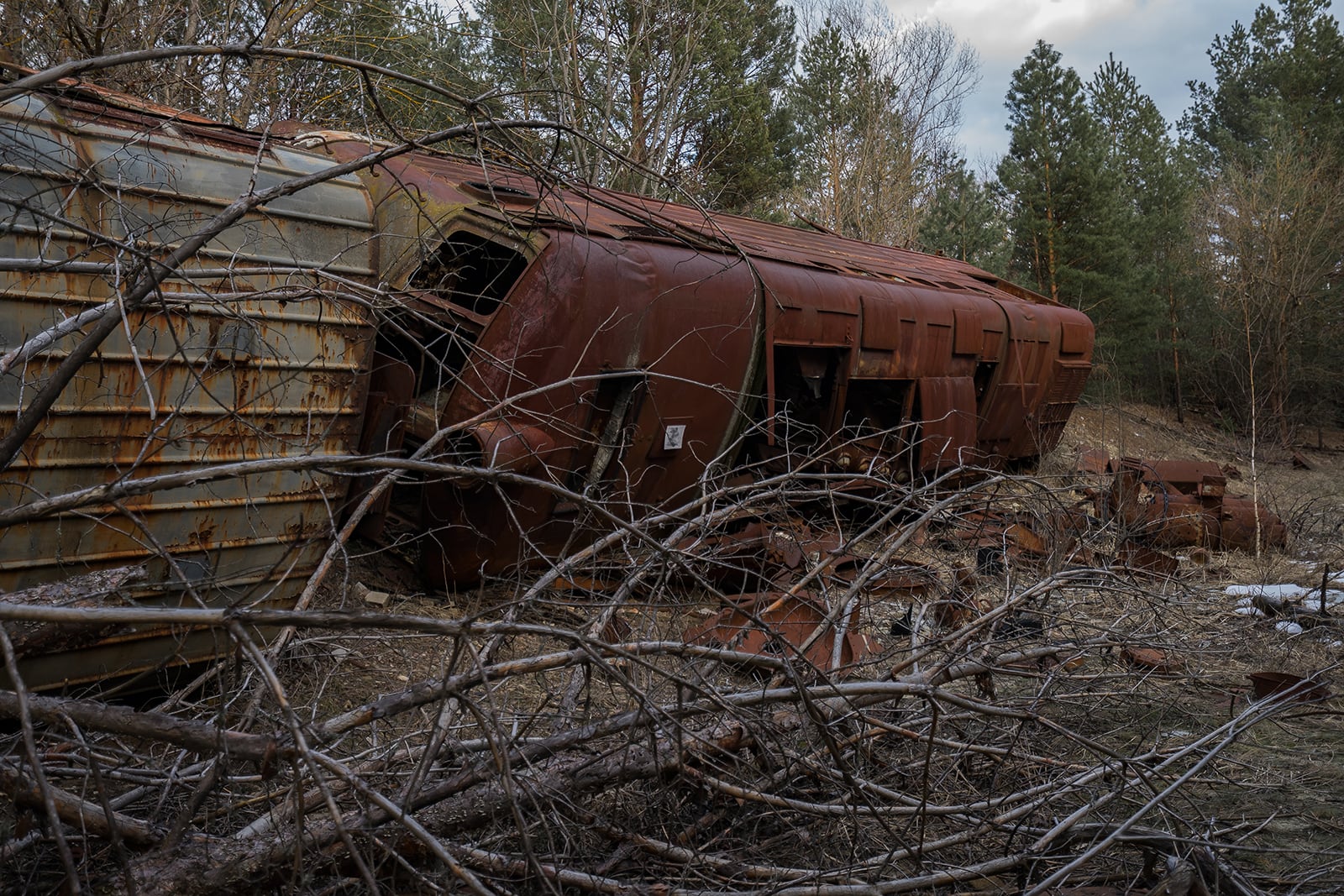 article image; primary-color: #47403A;