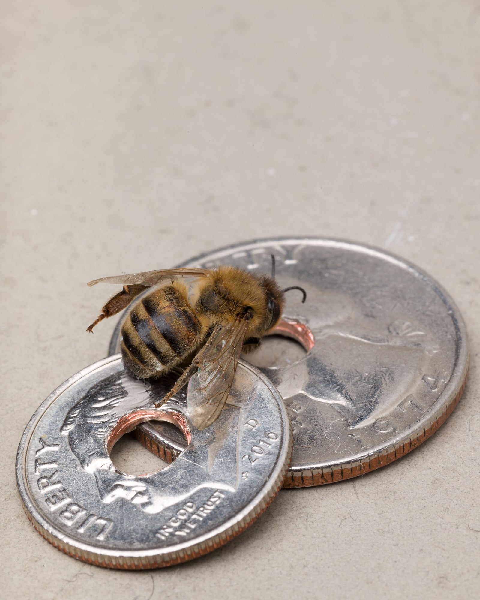 article image; primary-color: #B3AAA3;