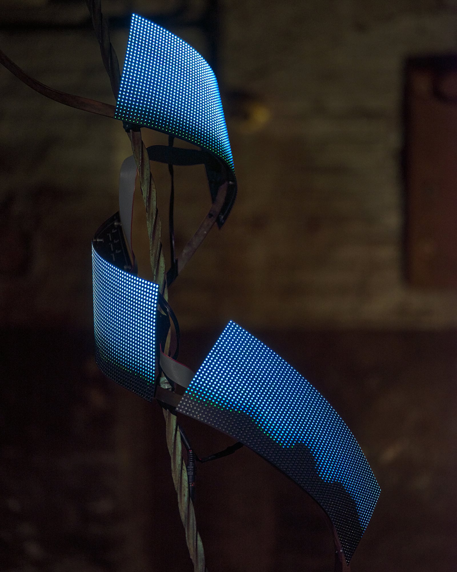 article image; primary-color: #252122;