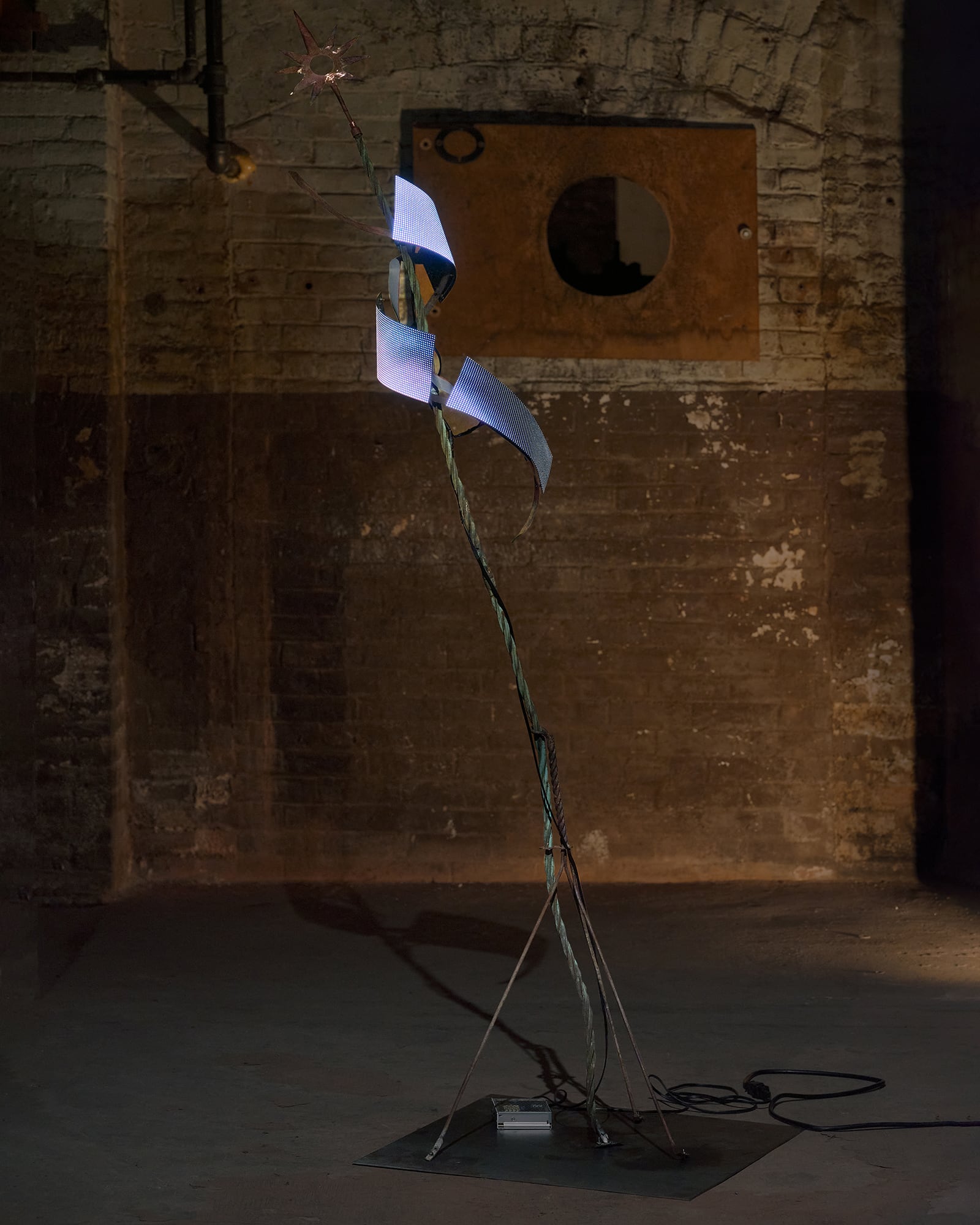 article image; primary-color: #32251C;