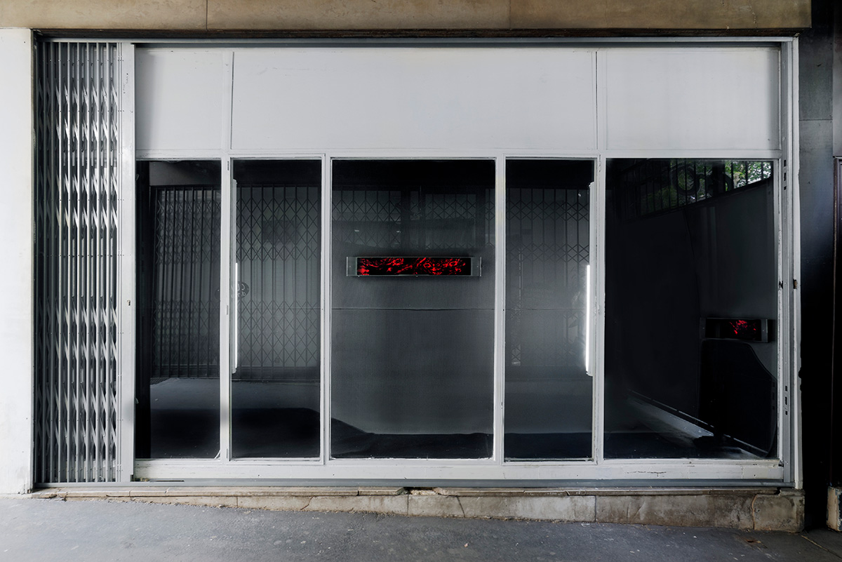 article image; primary-color: #646567;