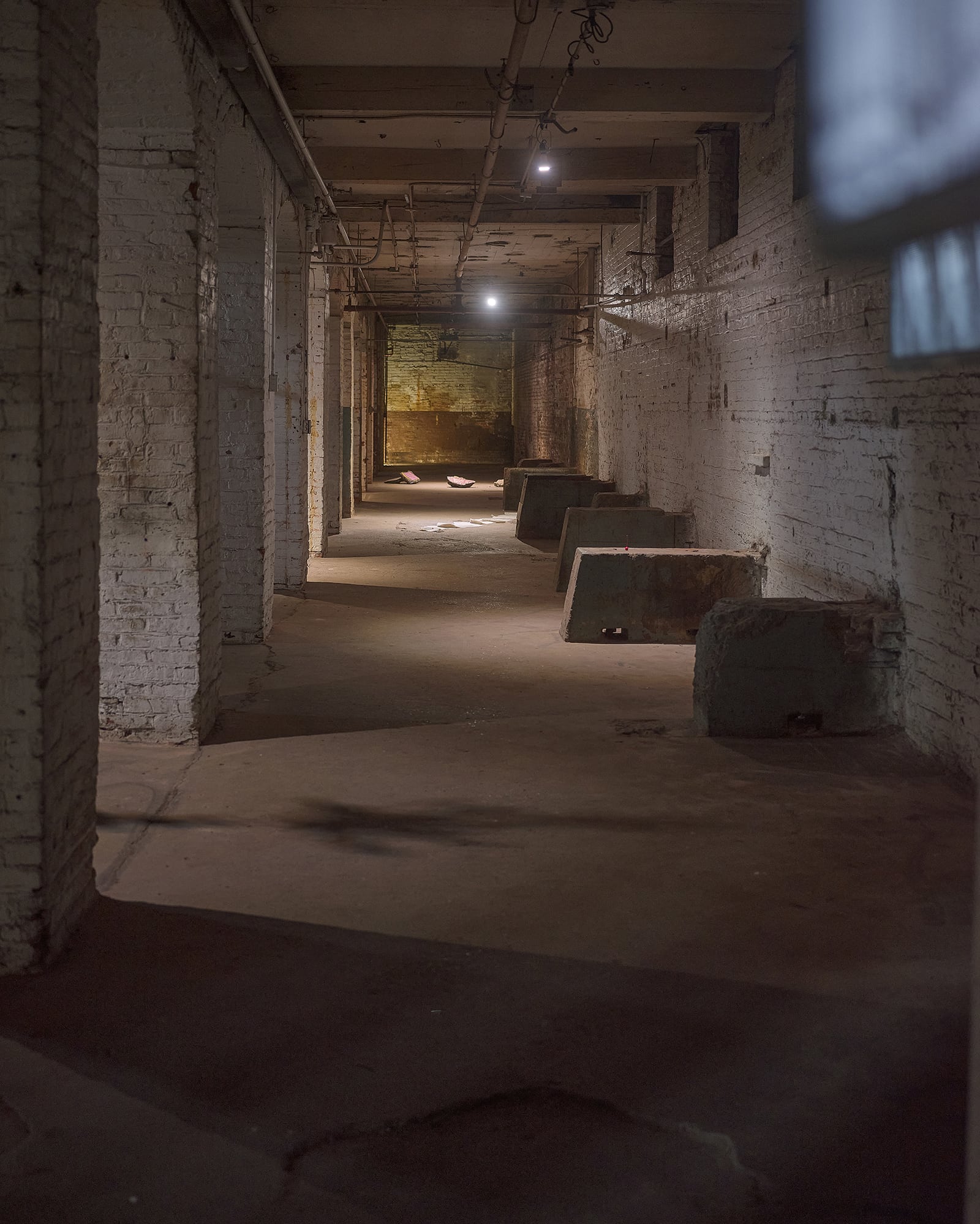 article image; primary-color: #3E3530;