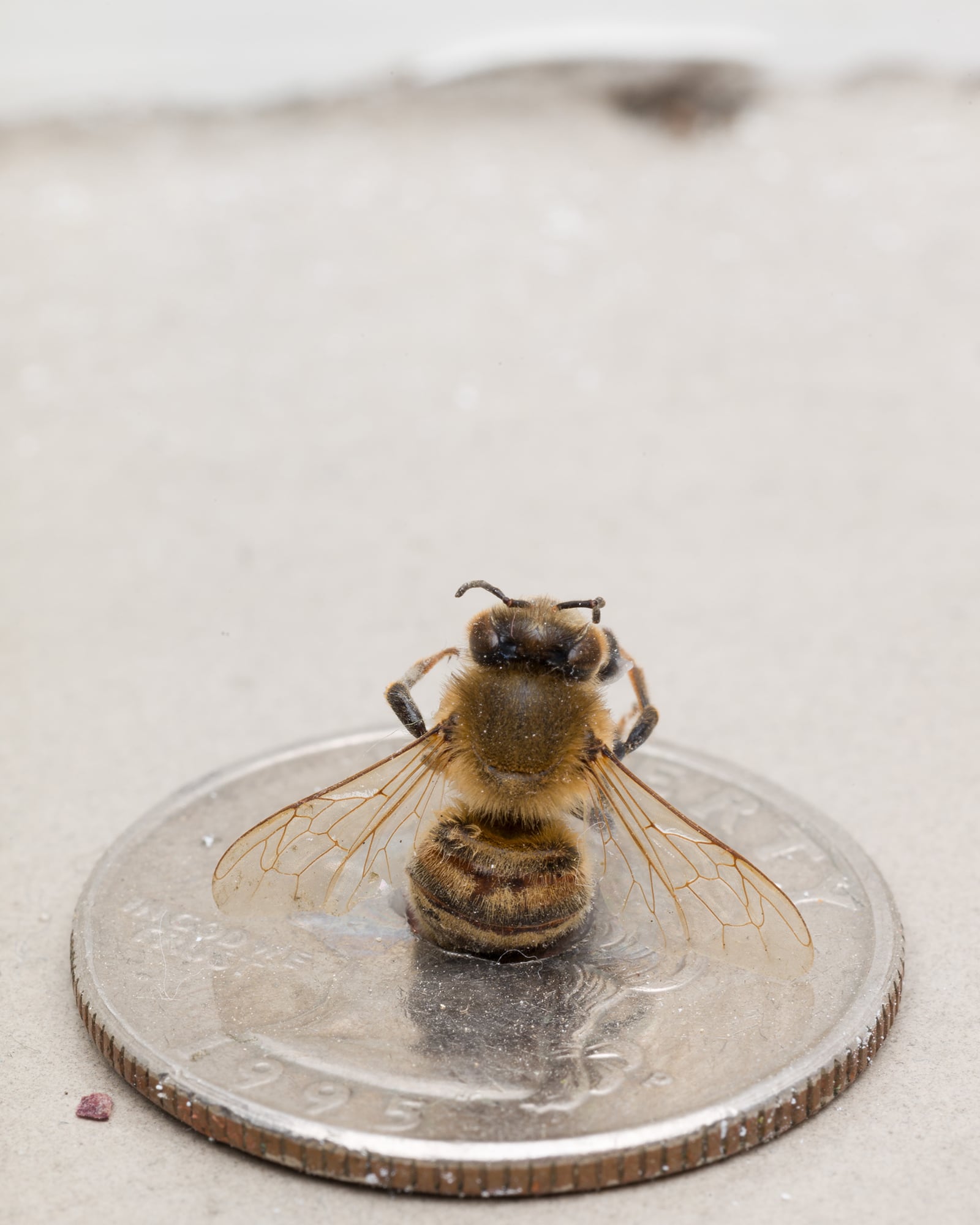 article image; primary-color: #CDC4BD;