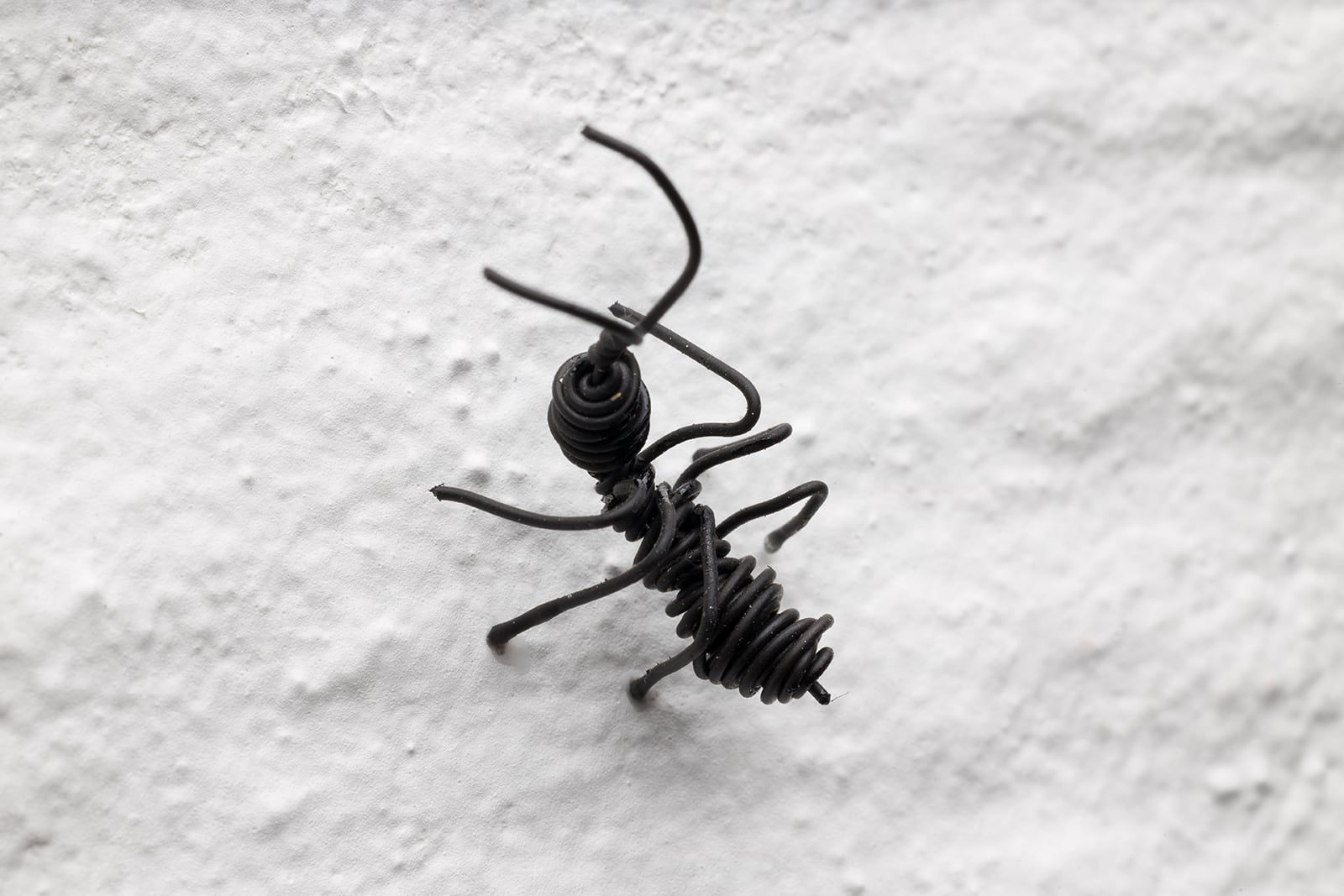 article image; primary-color: #D6D2D3;