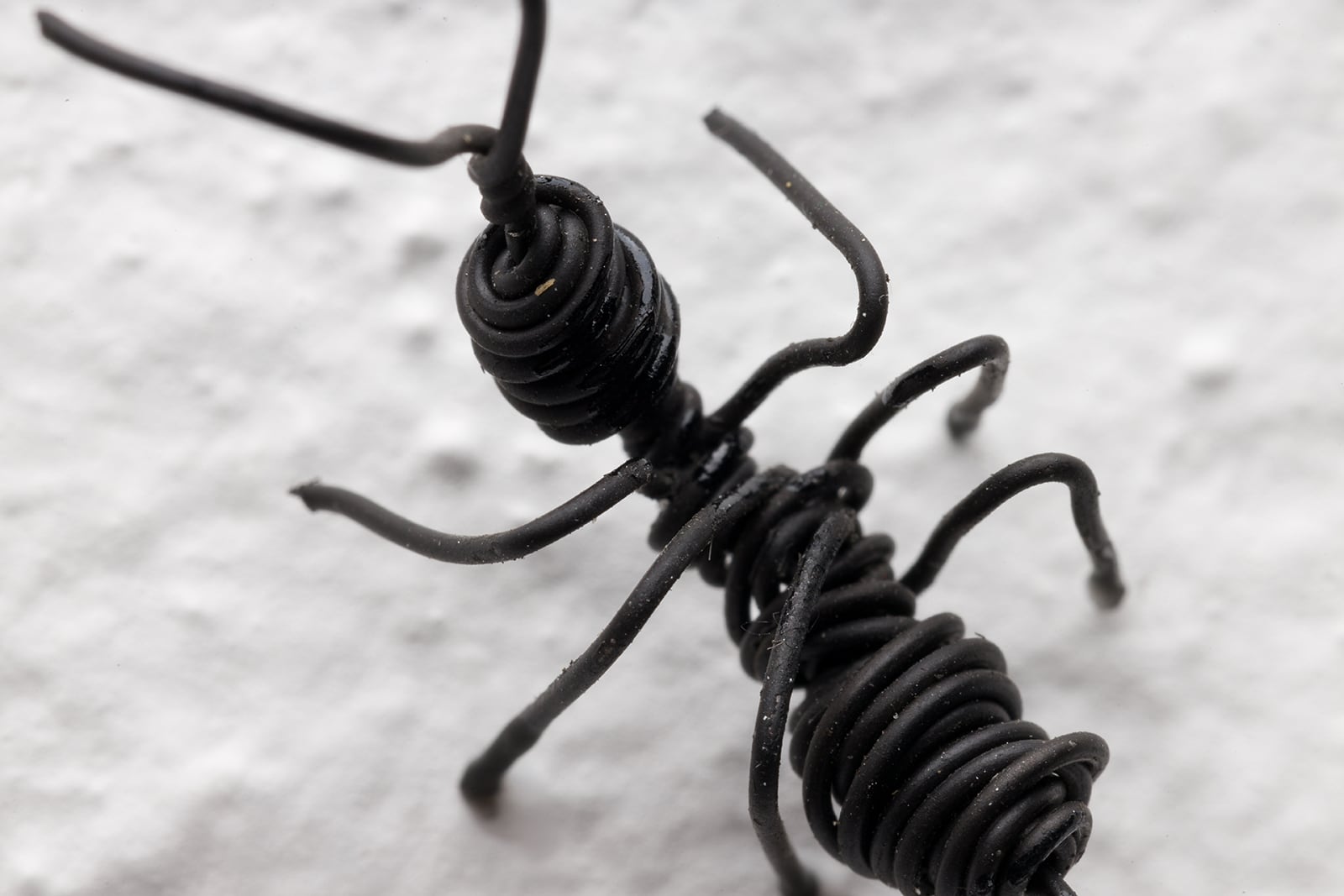 article image; primary-color: #BAB6B7;