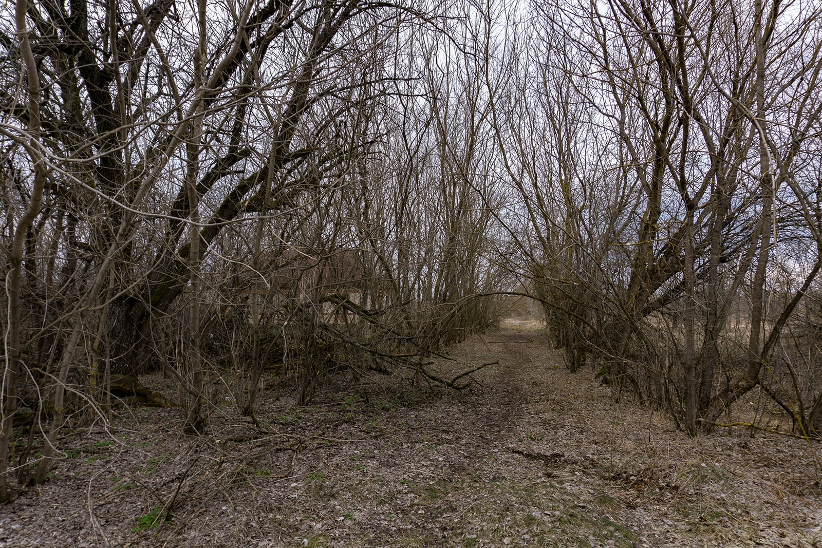 article image; primary-color: #5D544D;