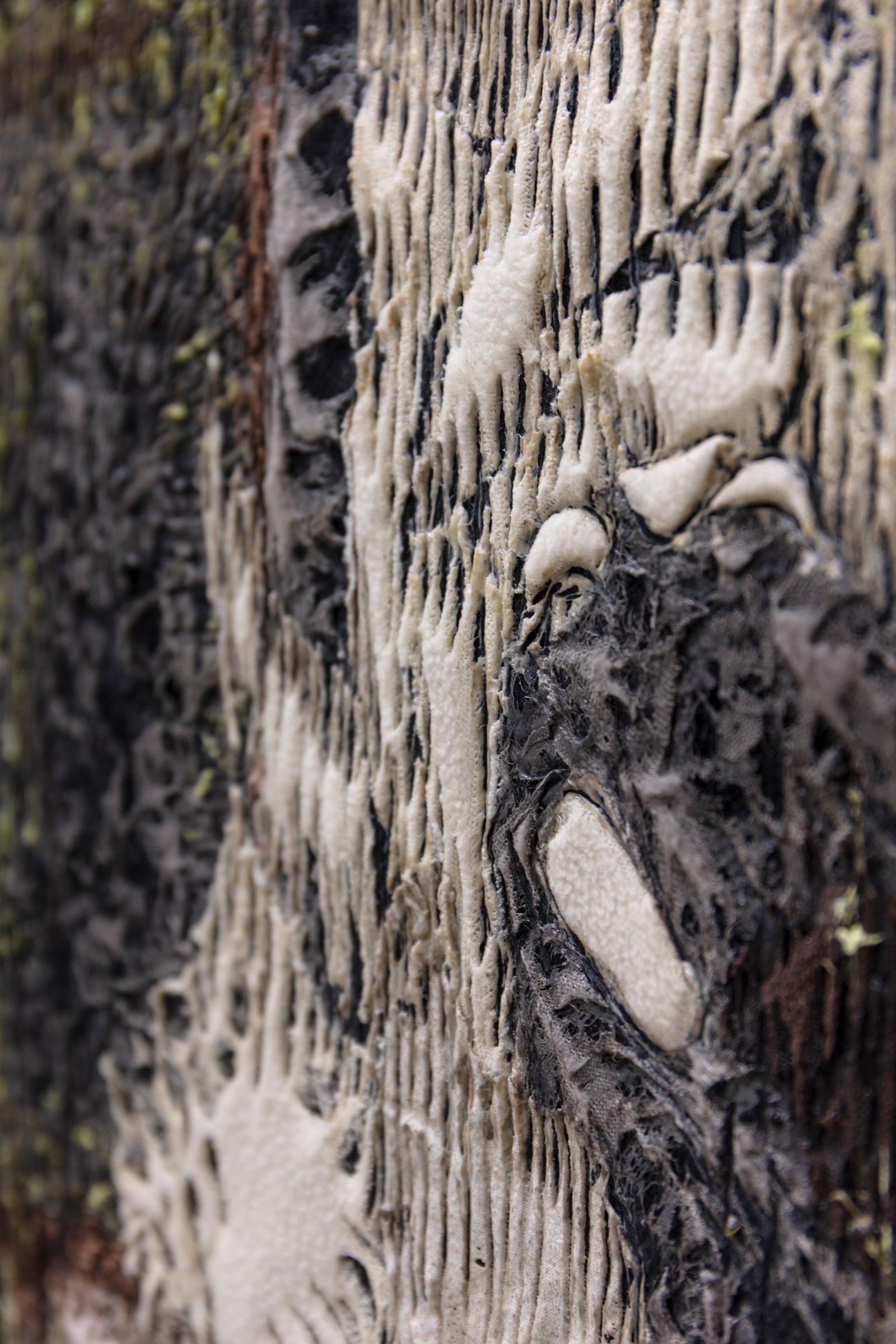 article image; primary-color: #6E6761;