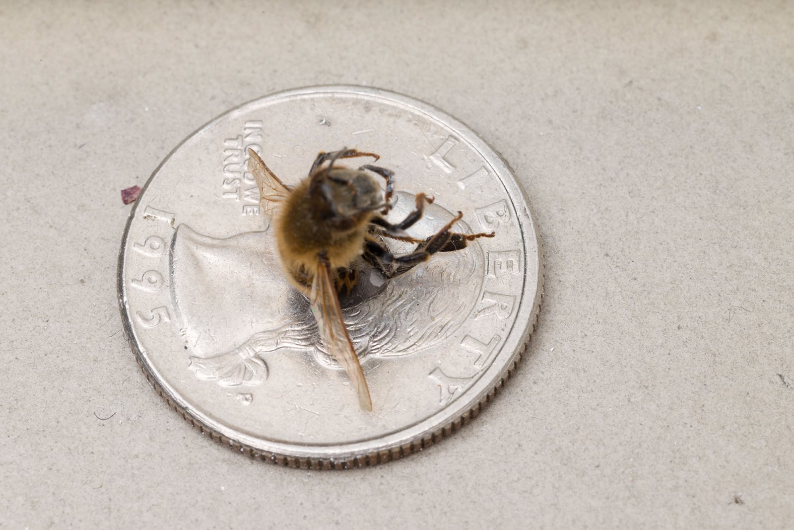 article image; primary-color: #C6BDB6;