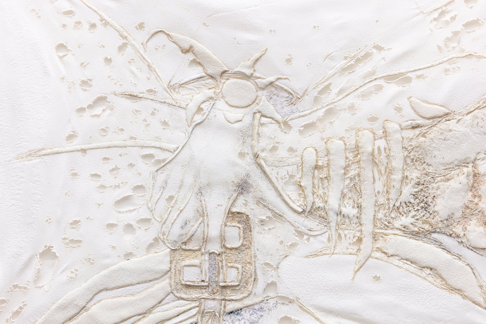 article image; primary-color: #E4DCDA;