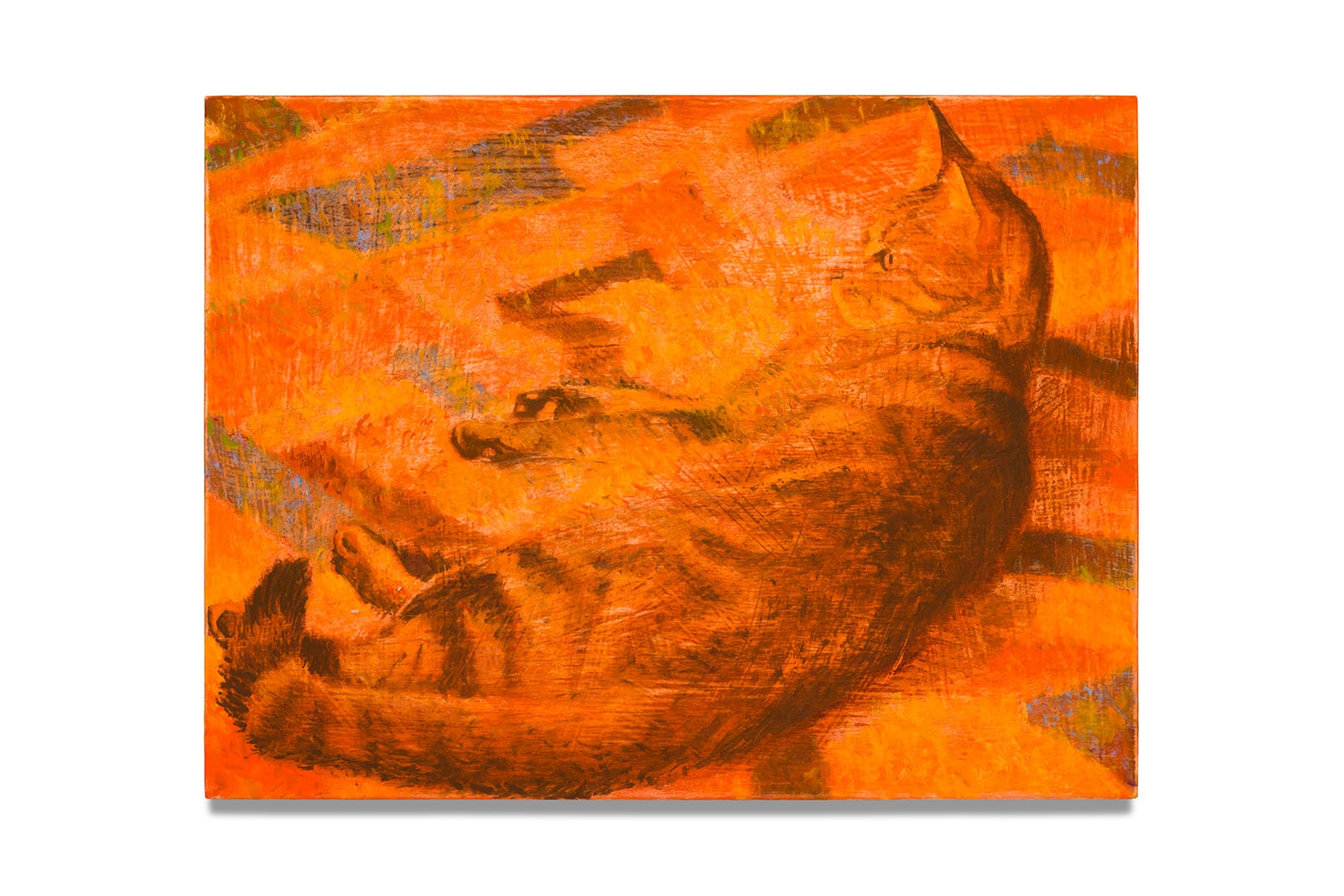 article image; primary-color: #EAA77C;