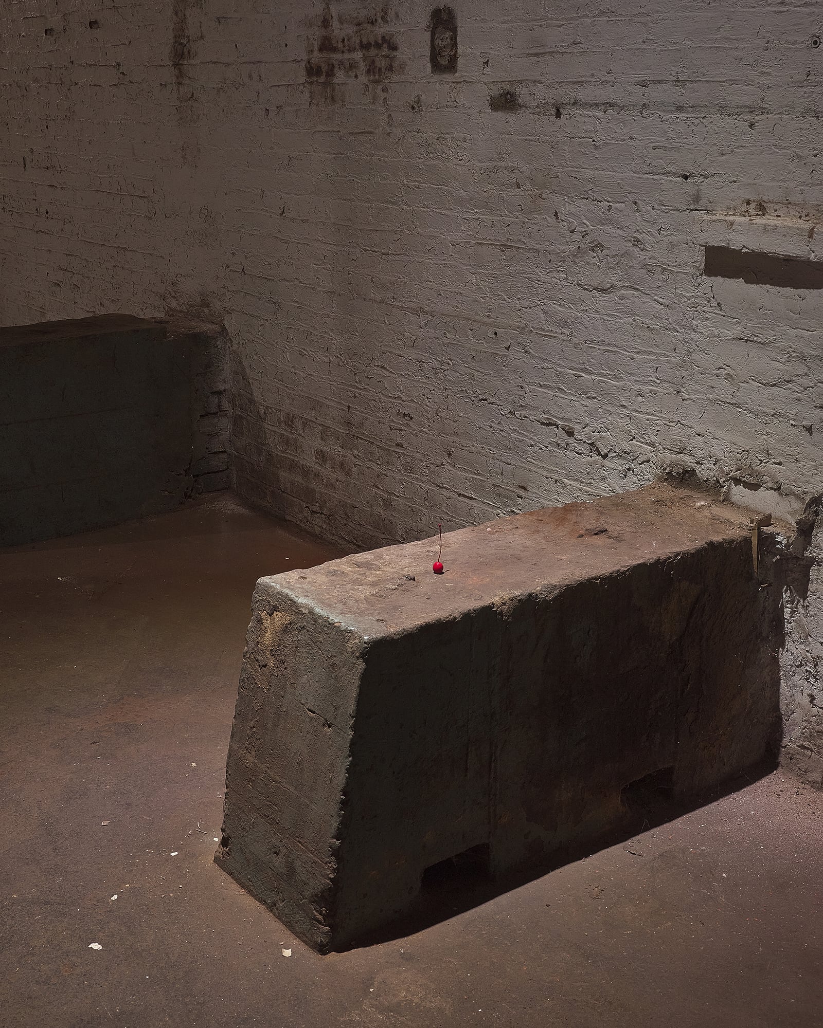 article image; primary-color: #564440;