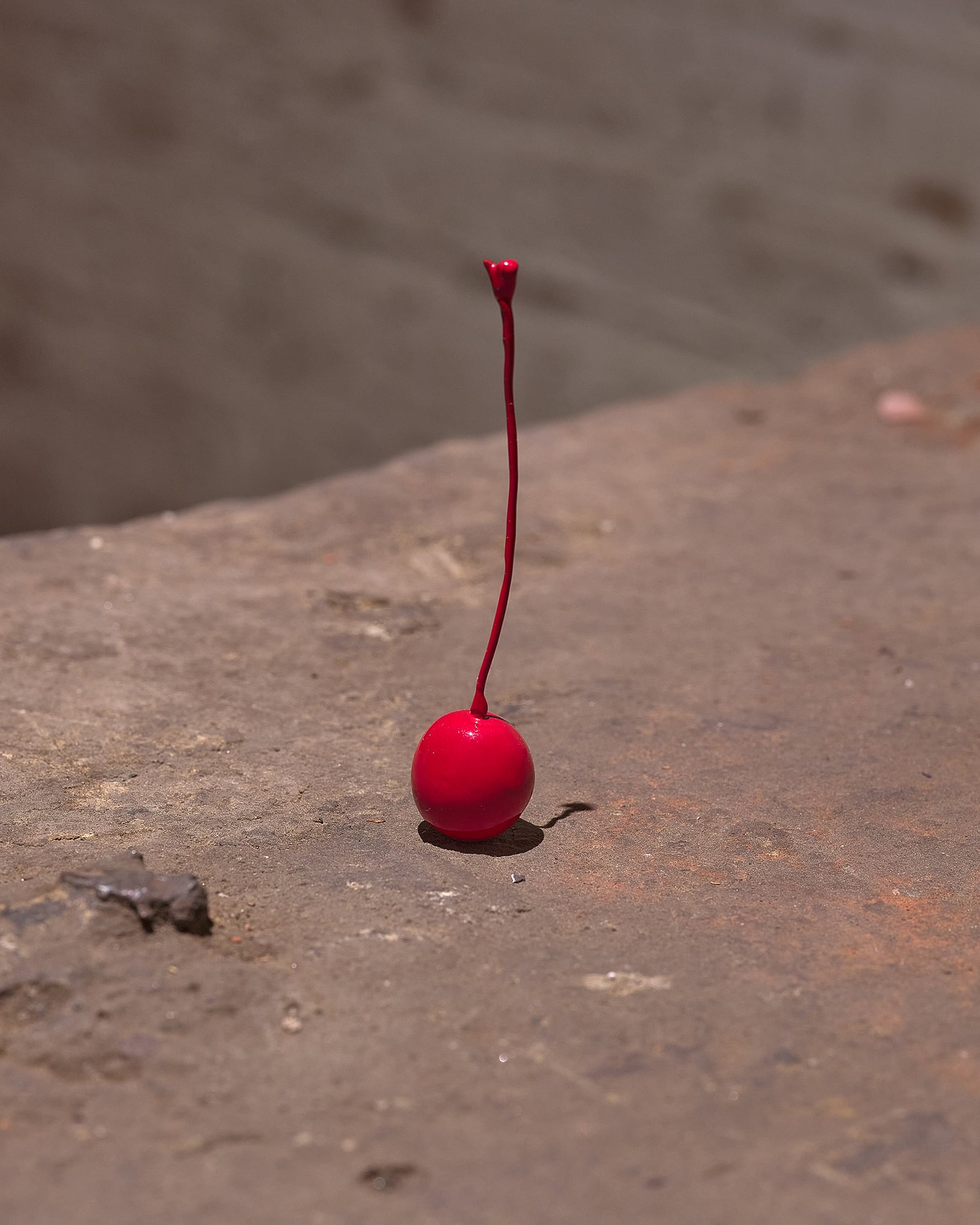 article image; primary-color: #856A61;