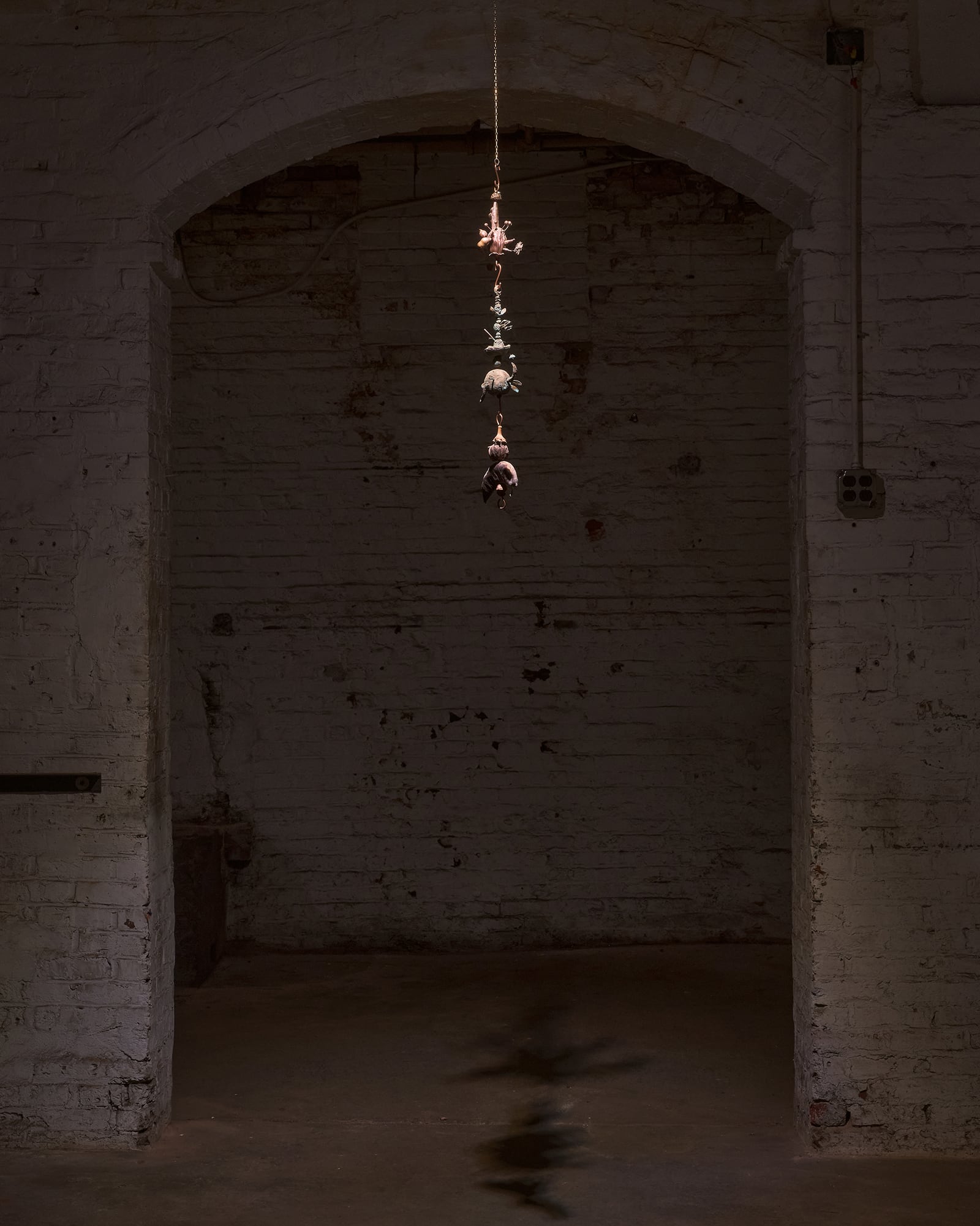 article image; primary-color: #2A211C;