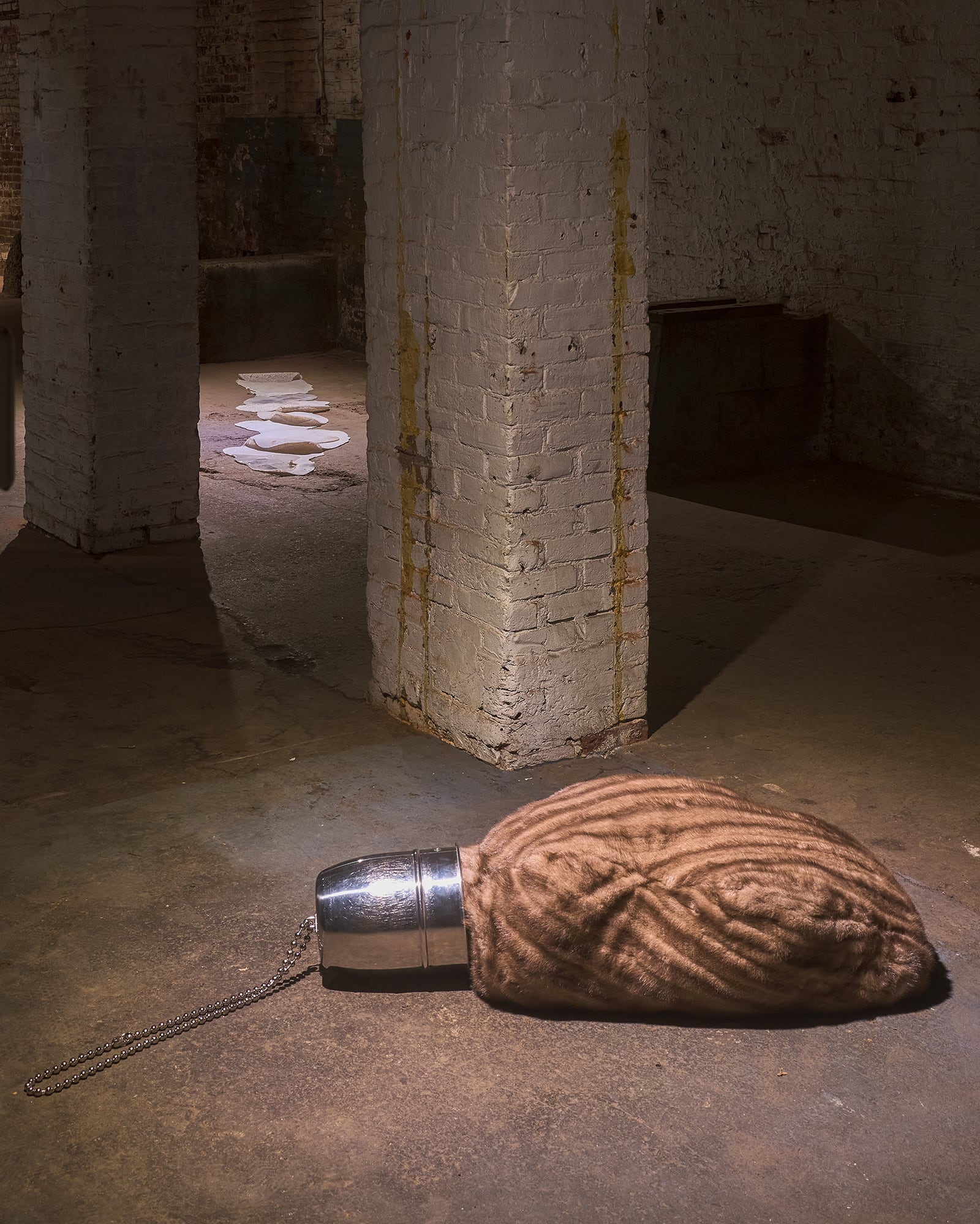 article image; primary-color: #534336;