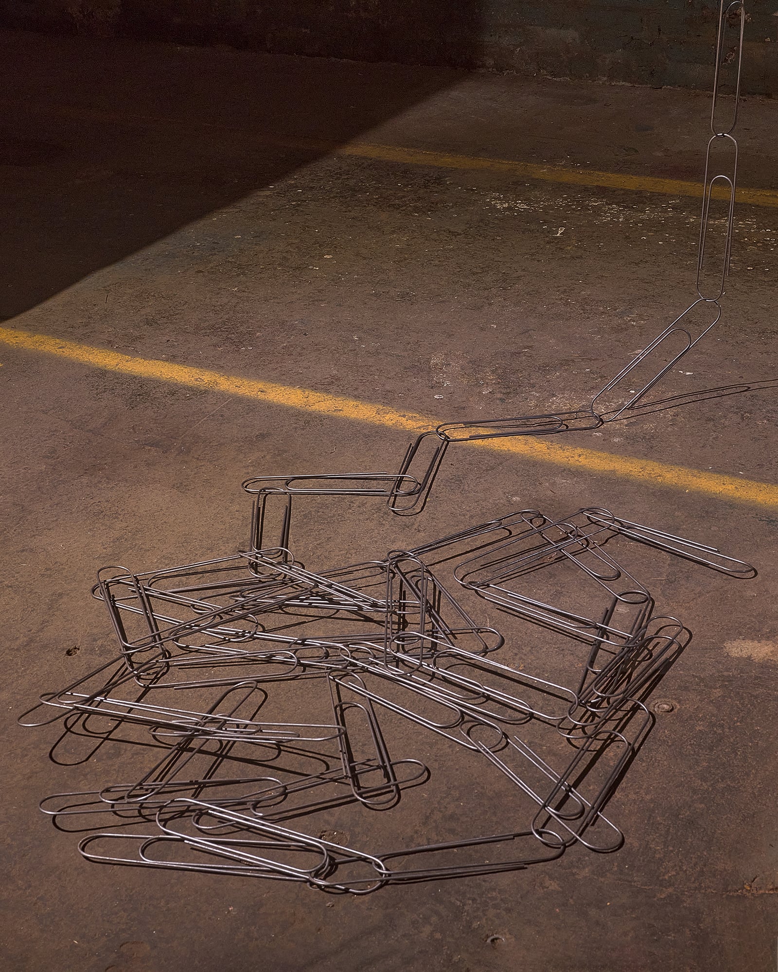 article image; primary-color: #5B453A;