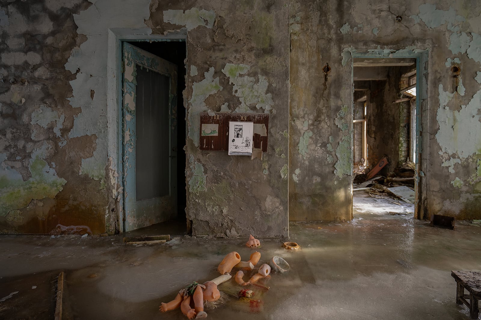 article image; primary-color: #4D453A;