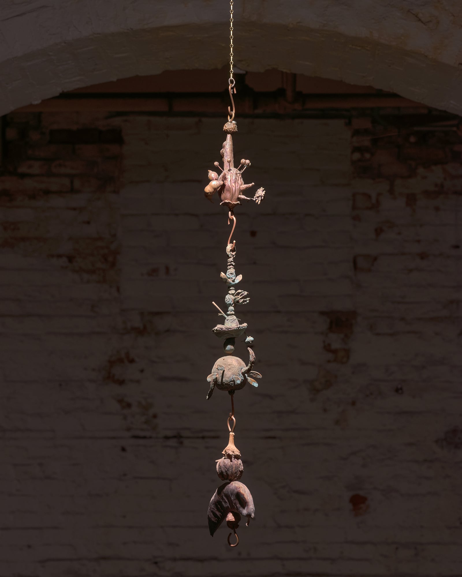 article image; primary-color: #2F2621;