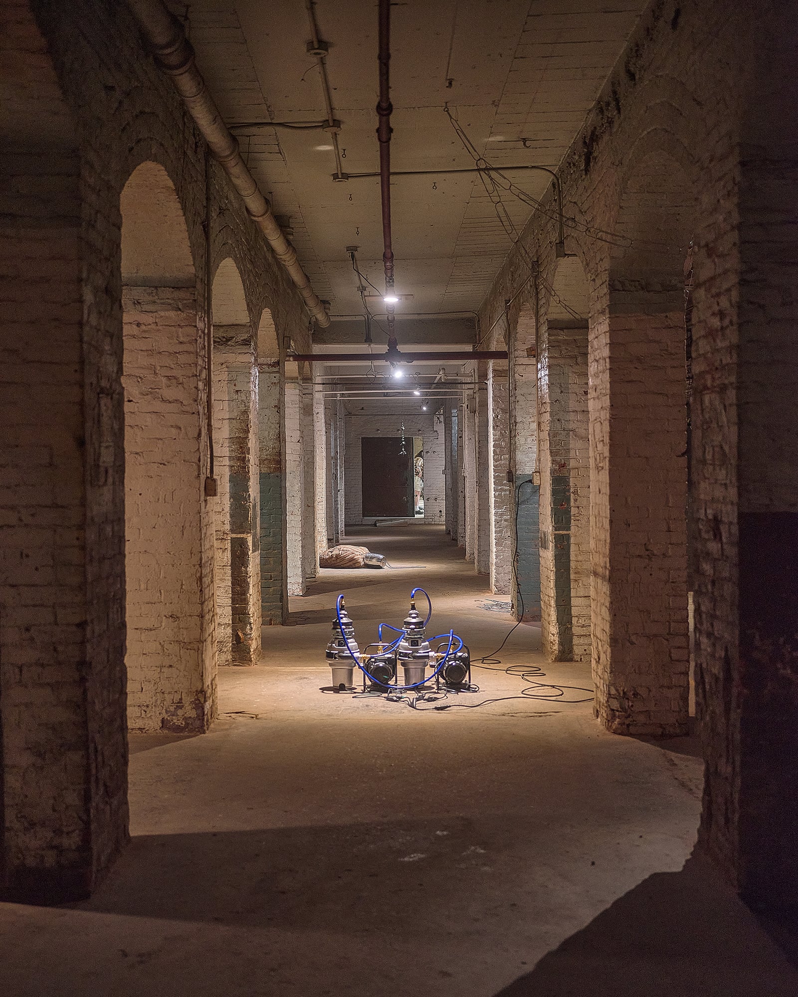 article image; primary-color: #4D3B2F;