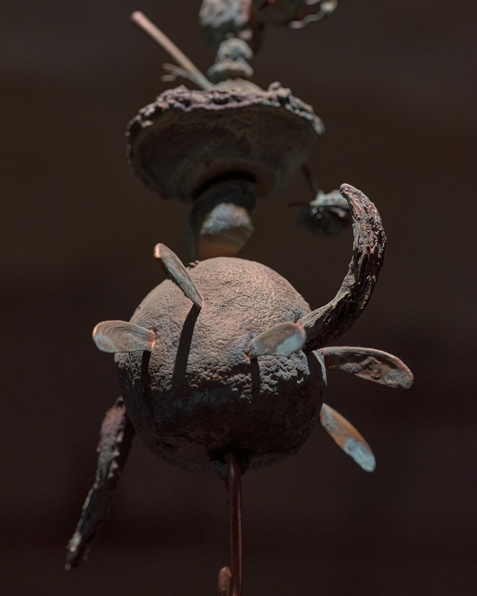 article image; primary-color: #2F2621;