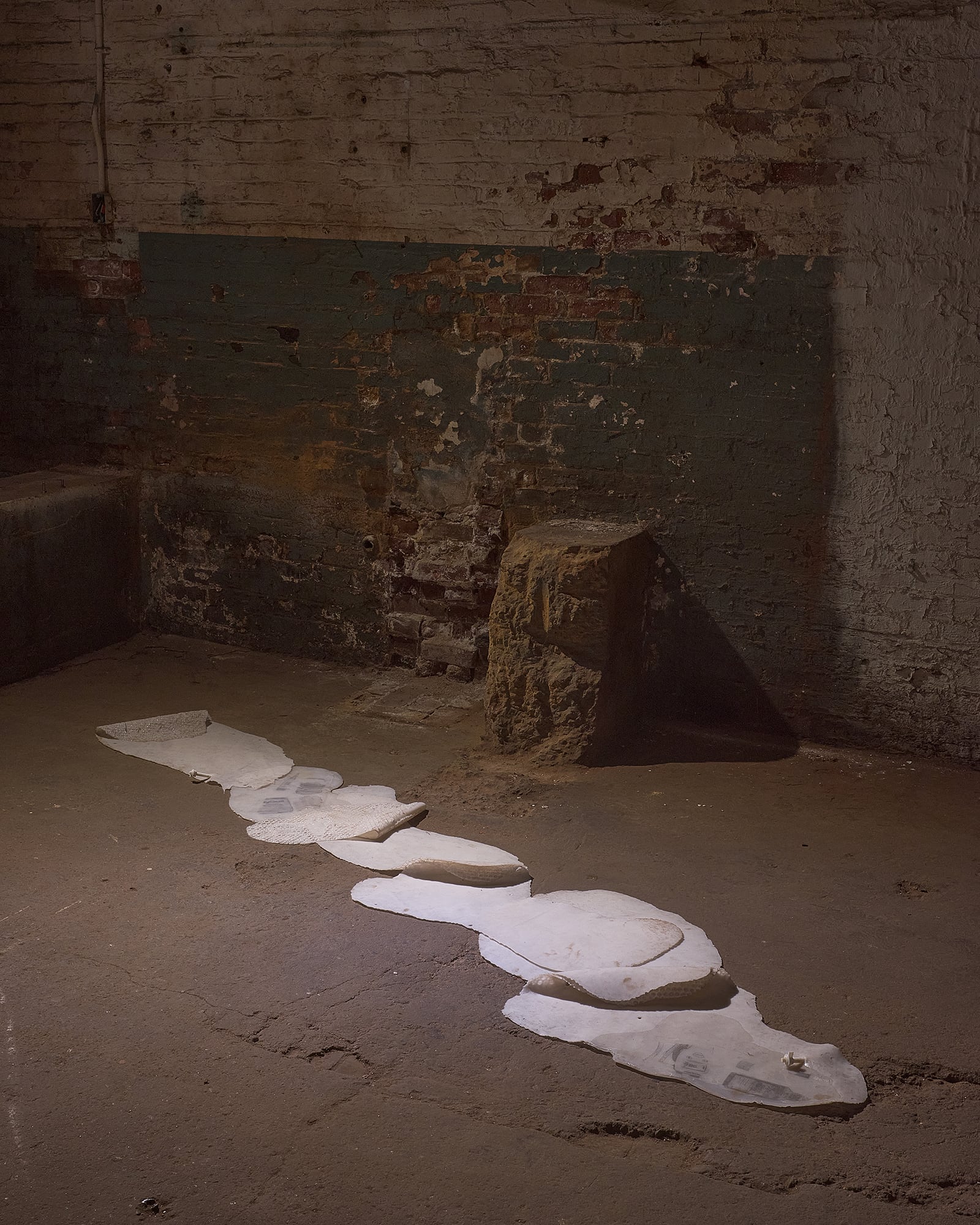 article image; primary-color: #493830;