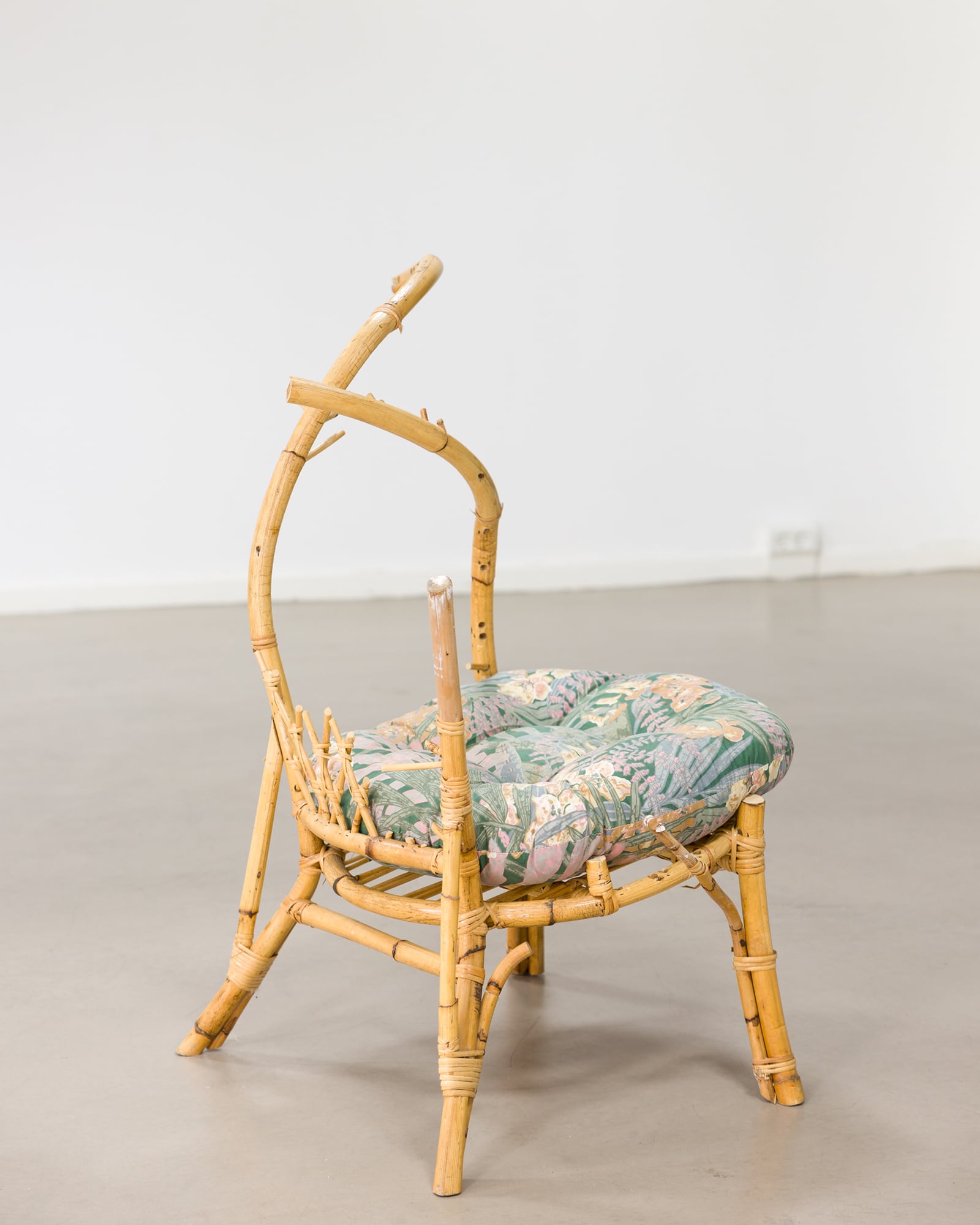 article image; primary-color: #D5CDC2;