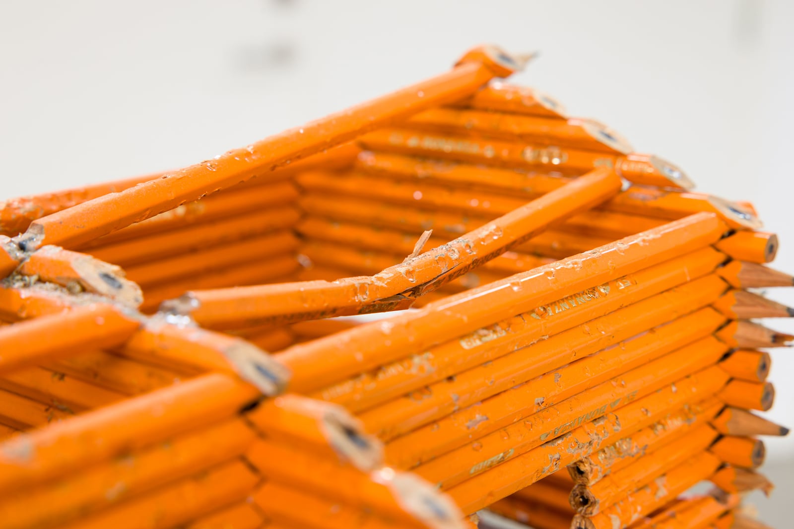 article image; primary-color: #E59755;