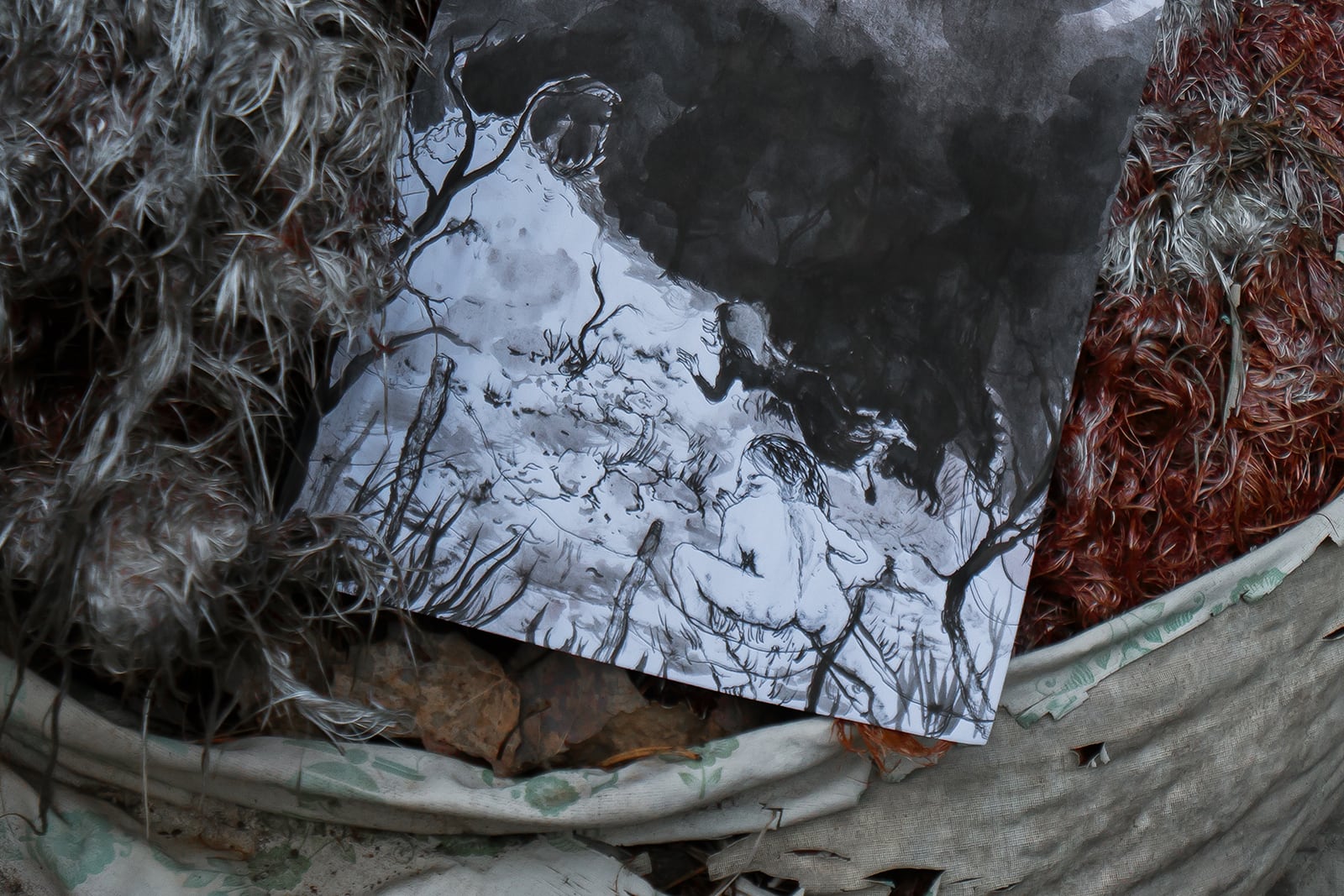 article image; primary-color: #4C5053;