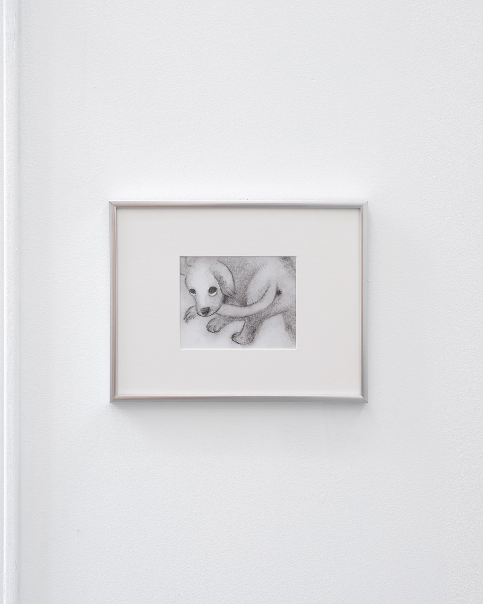 article image; primary-color: #E0DFE4;