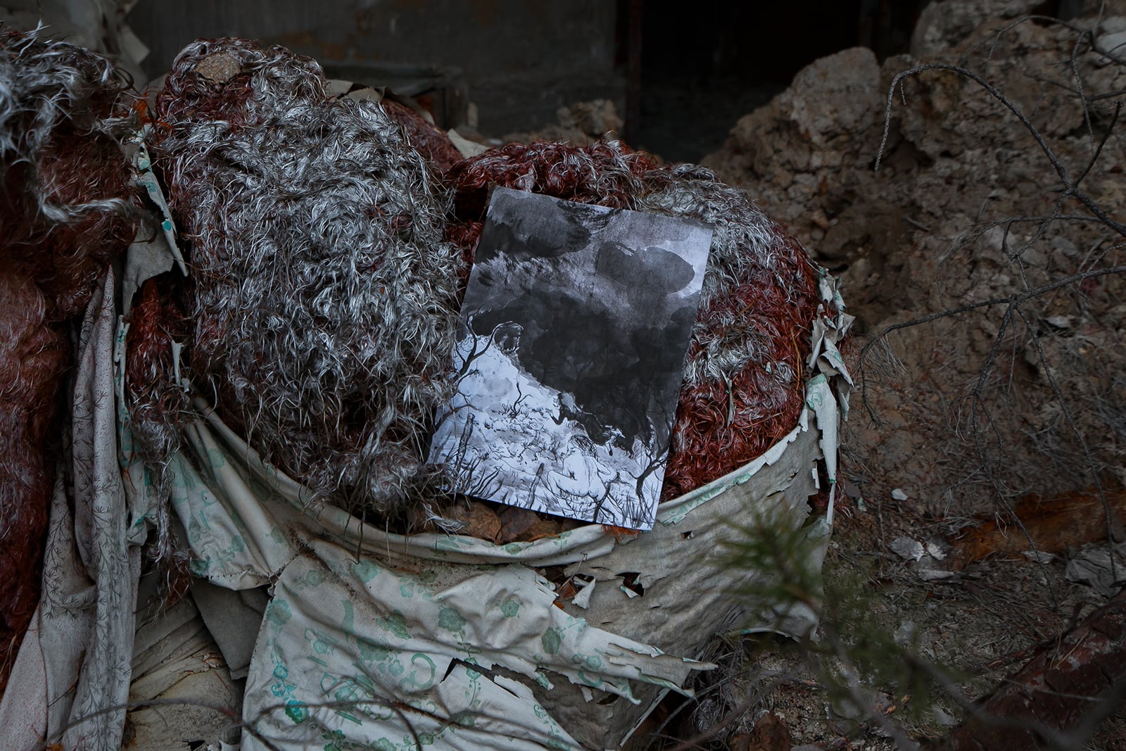 article image; primary-color: #3C3C3C;