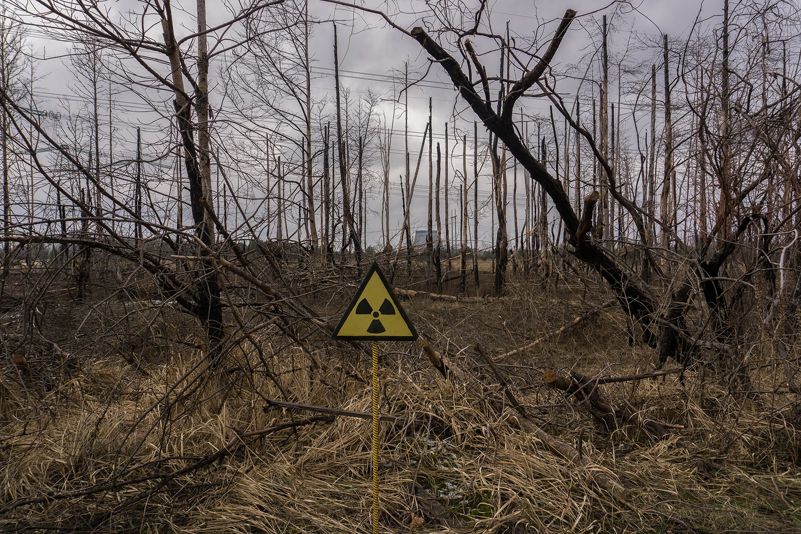 article image; primary-color: #605750;