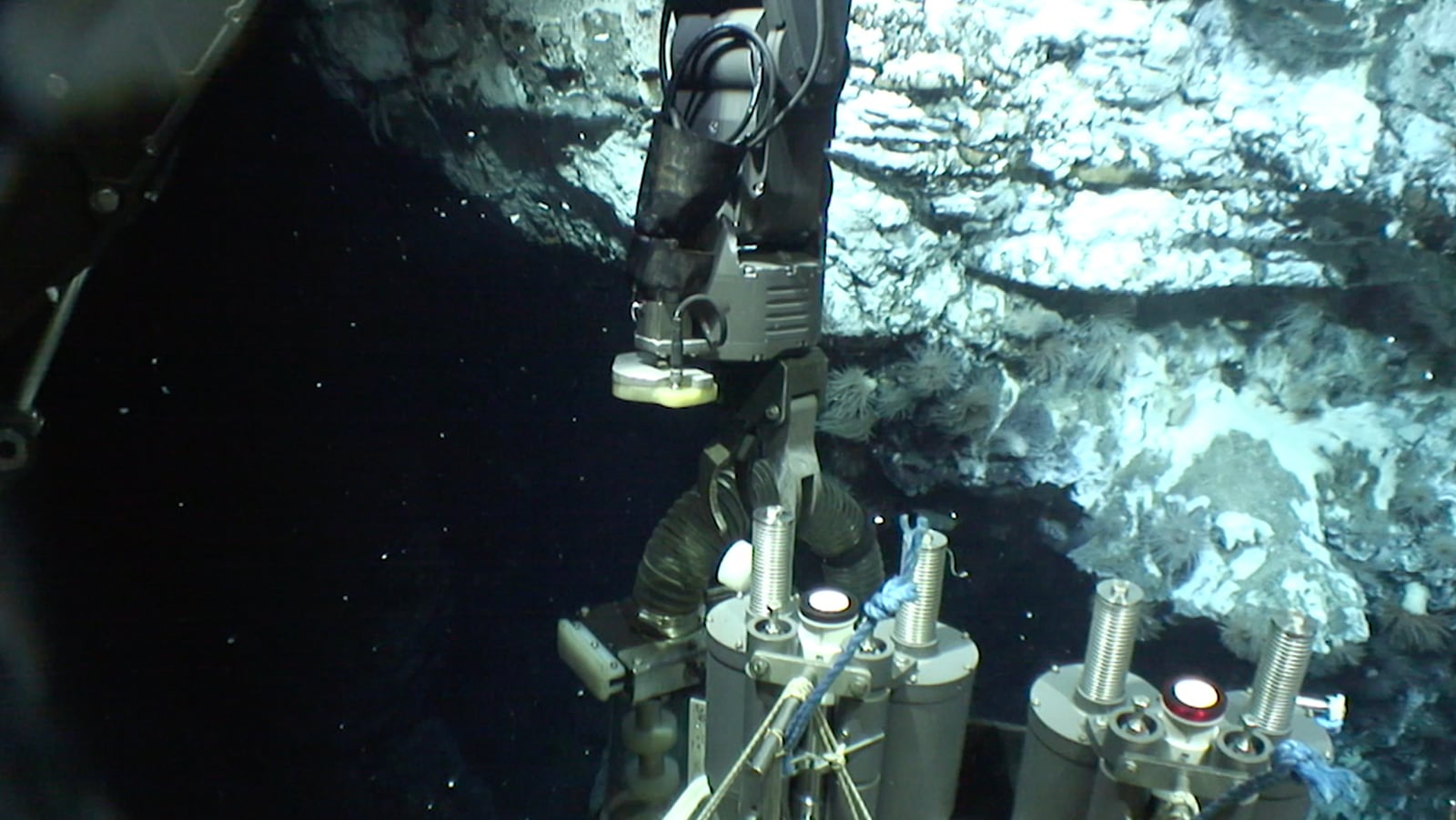 article image; primary-color: #445859;