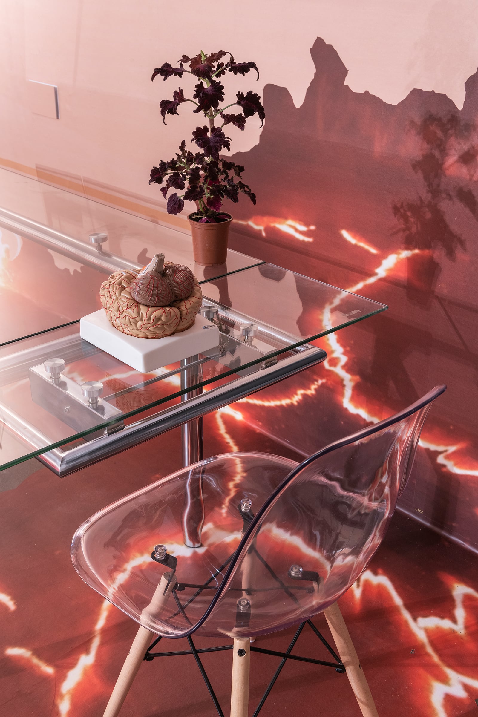 article image; primary-color: #9E6B68;