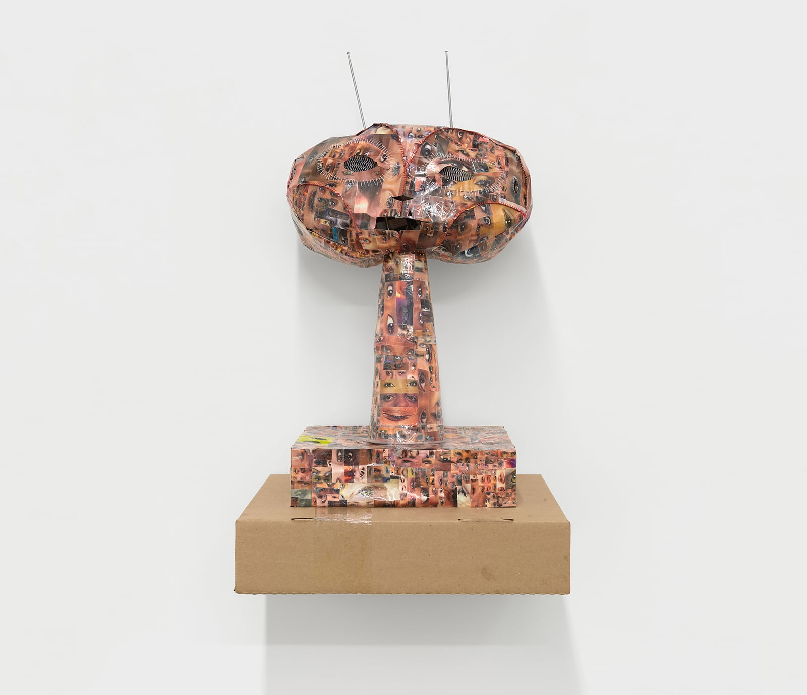 article image; primary-color: #DED7D1;