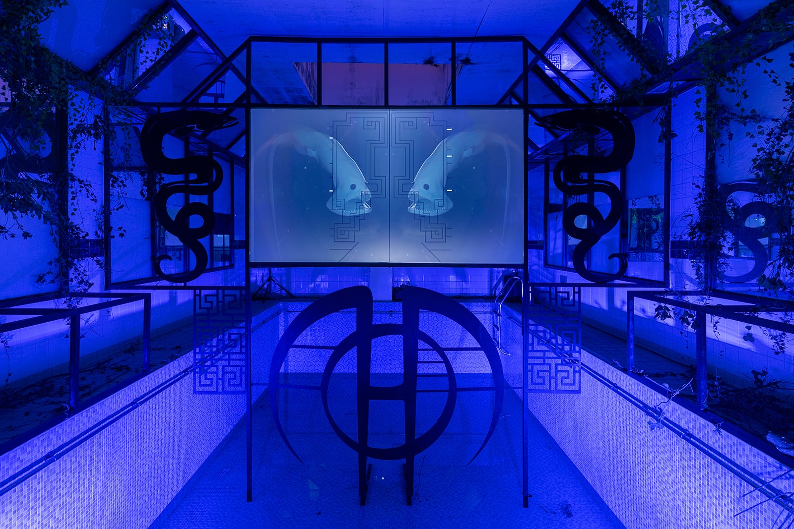 article image; primary-color: #192BA7;