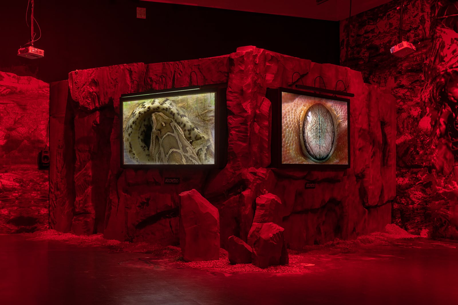 article image; primary-color: #4F080E;