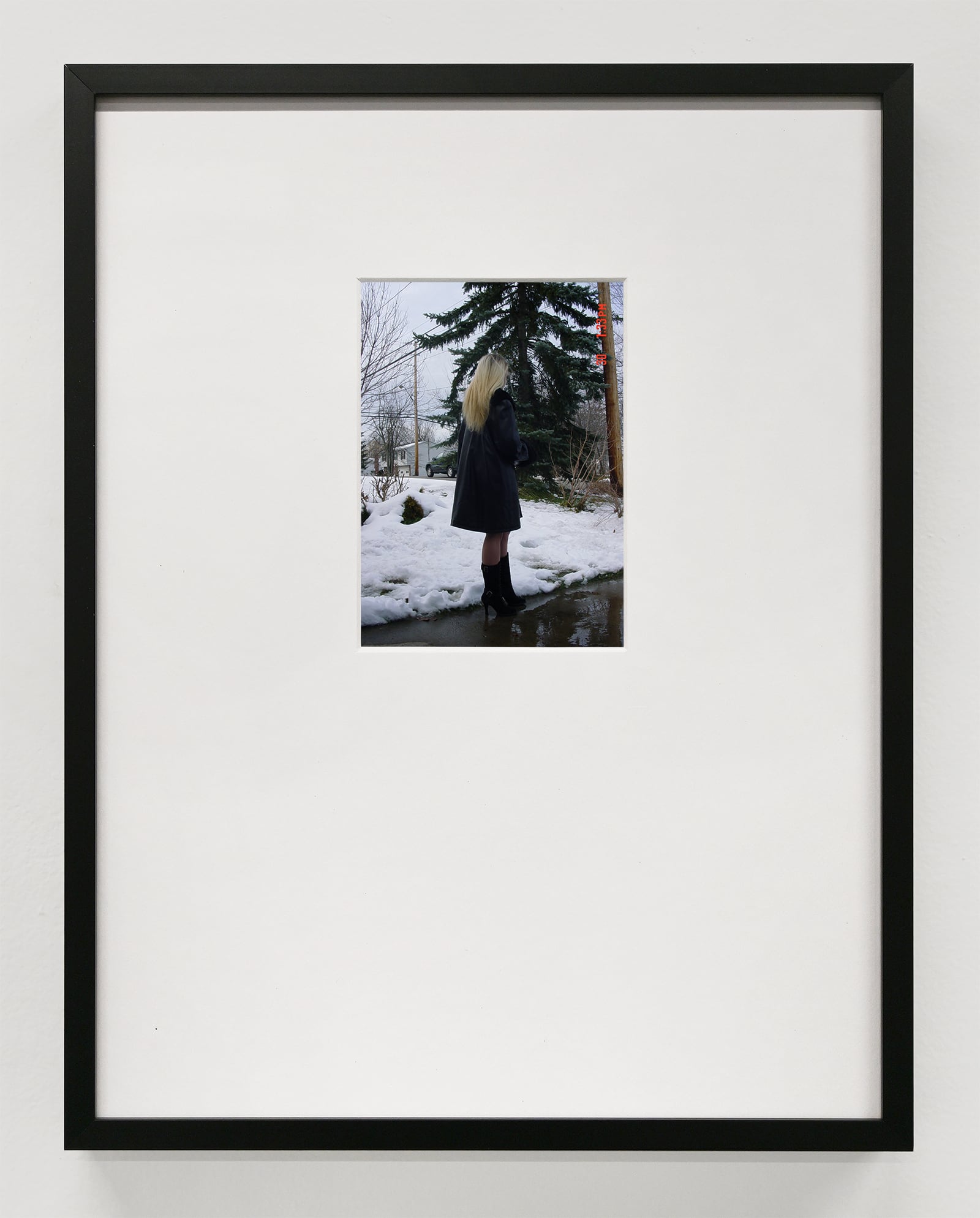 article image; primary-color: #C3C4BF;